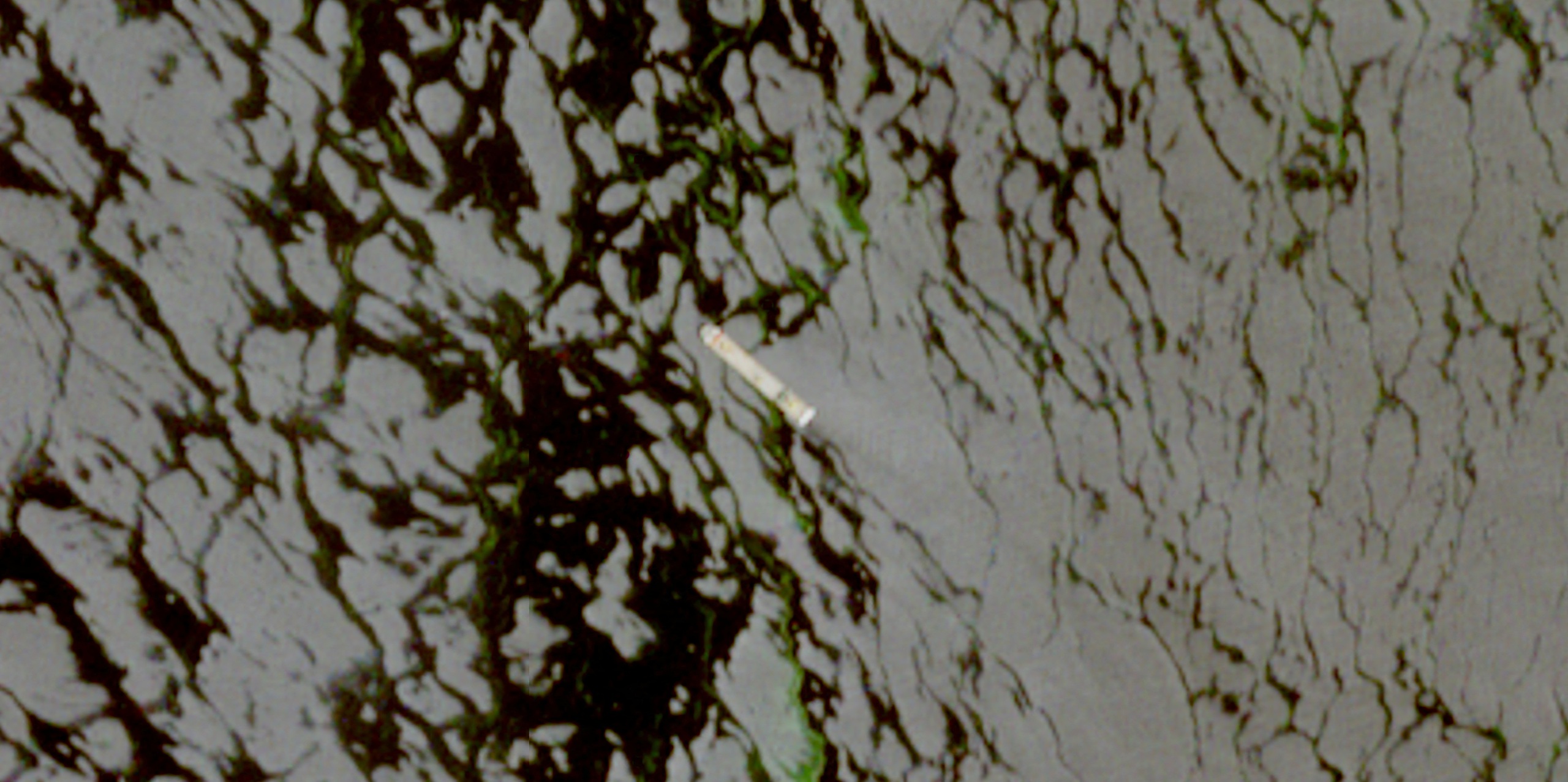 Iran bắt giữ t&agrave;u ở eo biển Hormuz sau khi &ocirc;ng Trump lệnh ngừng tấn c&ocirc;ng - Ảnh 1.