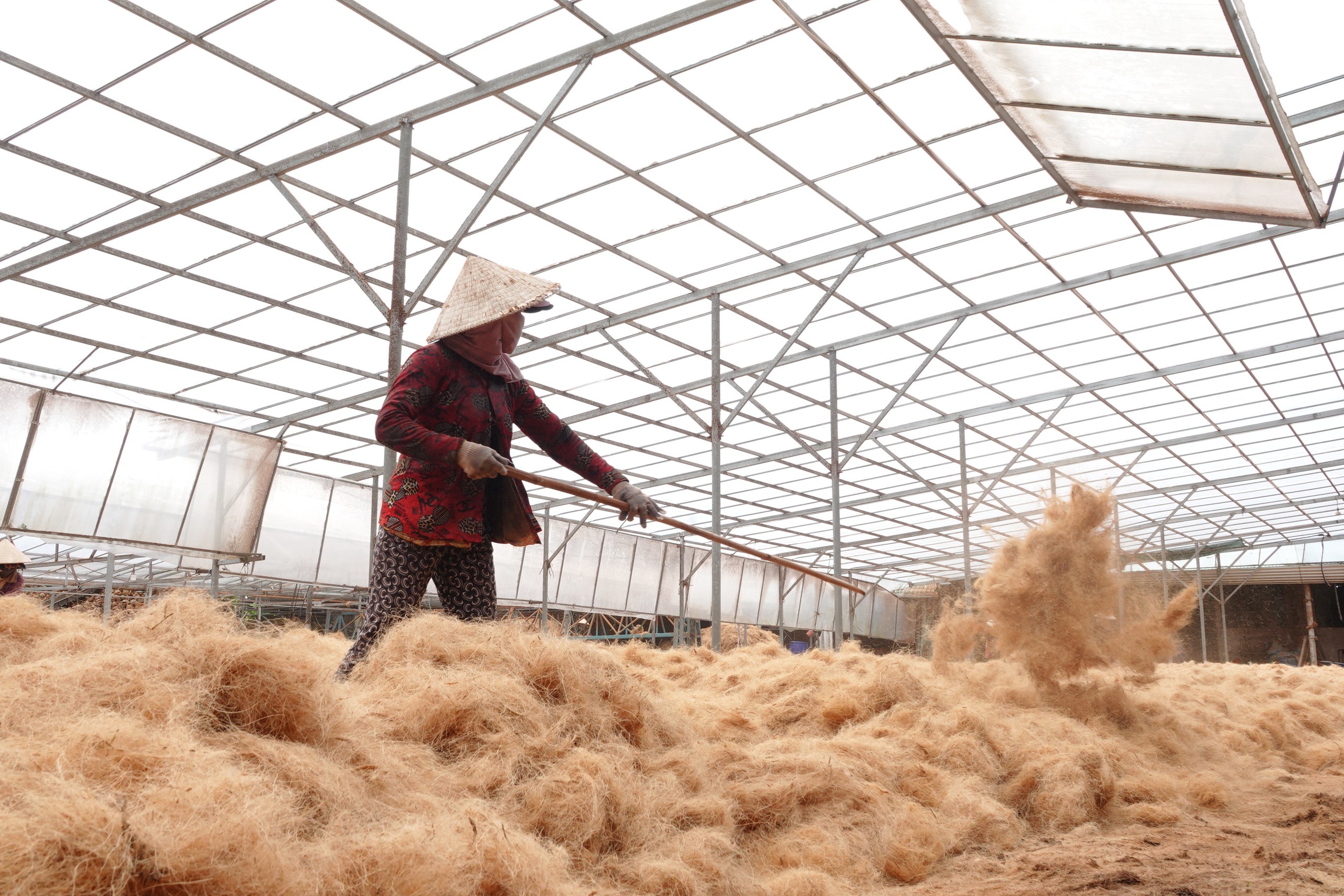 Những phụ nữ giữ nghề dệt chỉ xơ dừa giữa nắng gió sông Thơm - Ảnh 2.