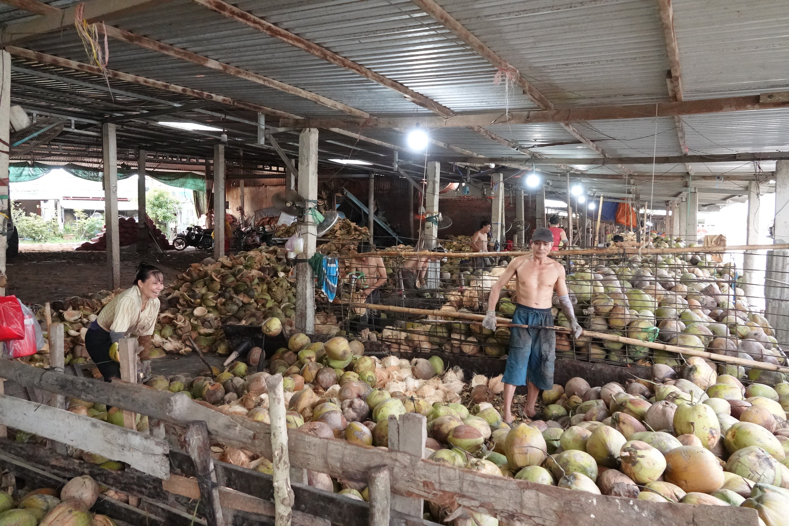 Những phụ nữ giữ nghề dệt chỉ xơ dừa giữa nắng gió sông Thơm - Ảnh 6.