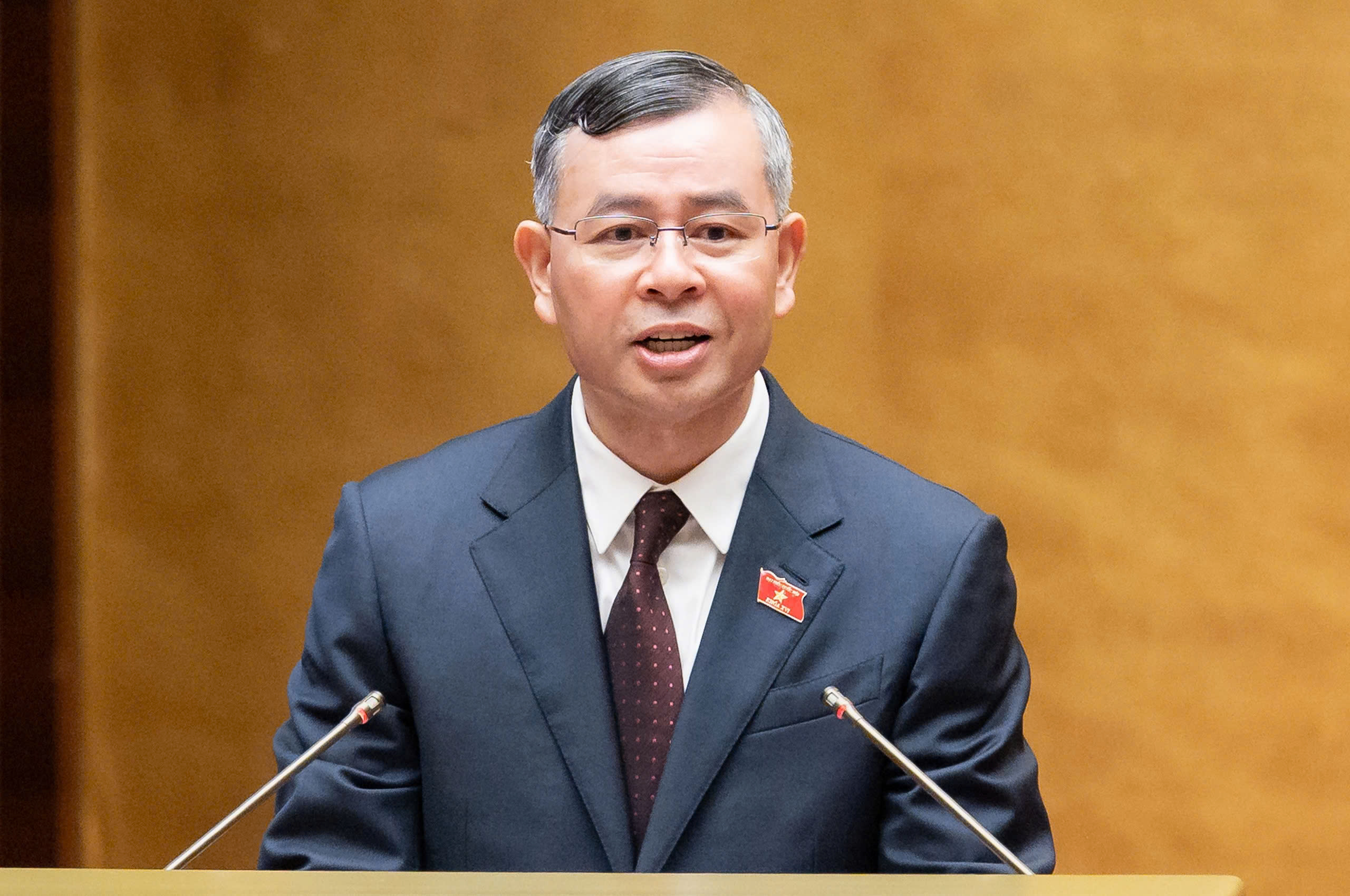 Thuế tiêu thụ đặc biệt với xe điện thay đổi ra sao?- Ảnh 2.