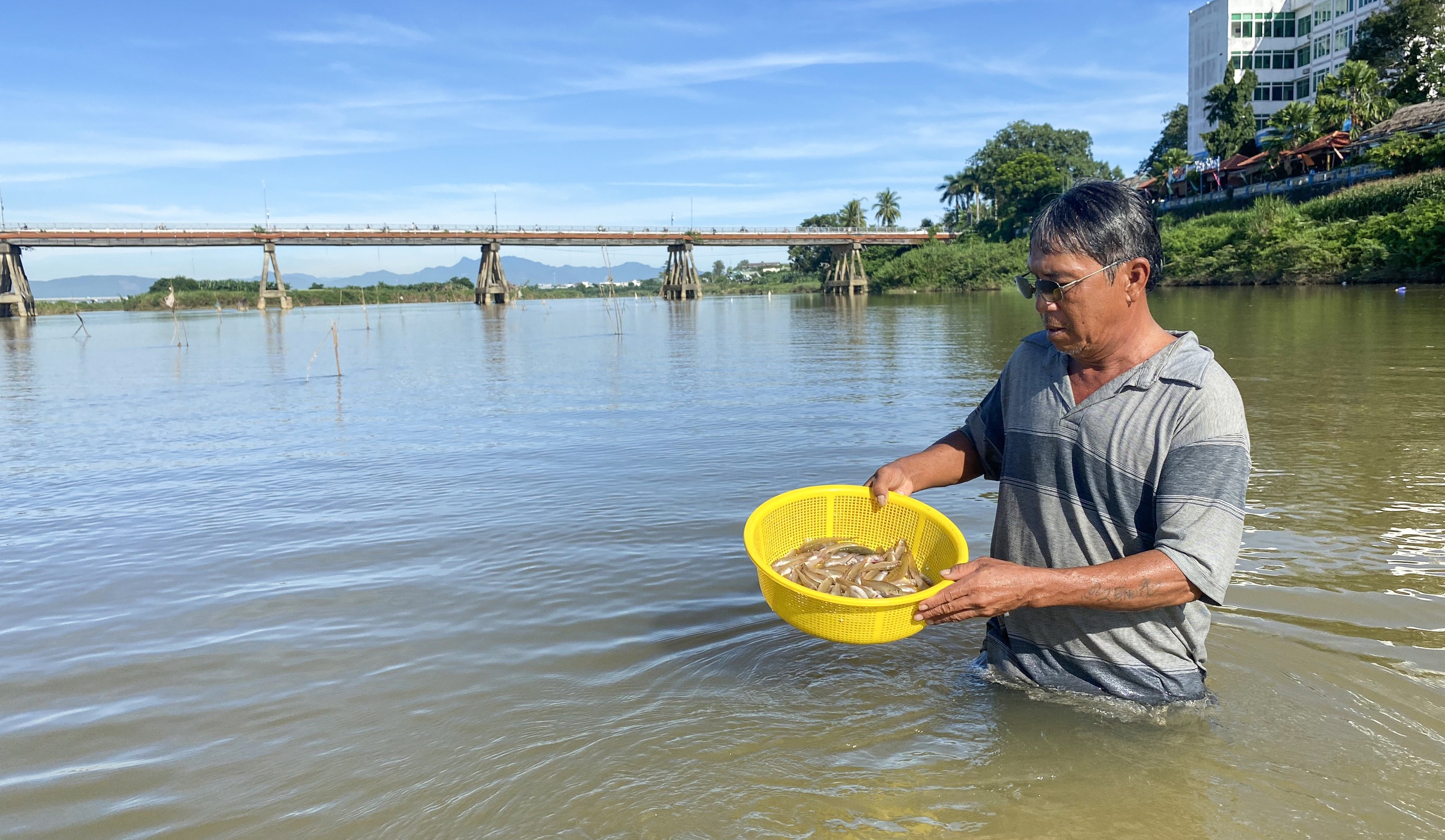 Nghề đặt ống tre bắt cá bống sông Trà Khúc - hương vị quê hương Quảng Ngãi - Ảnh 4.