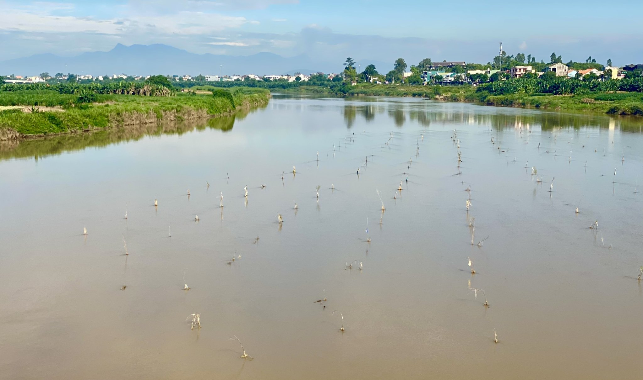 Nghề đặt ống tre bắt cá bống sông Trà Khúc - hương vị quê hương Quảng Ngãi - Ảnh 7.