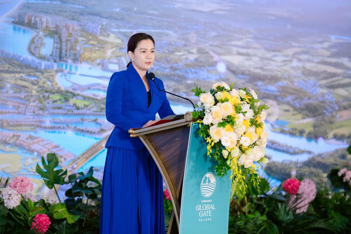 Vinhomes ra mắt thành phố kỳ quan độc bản bên vịnh di sản - Ảnh 2.