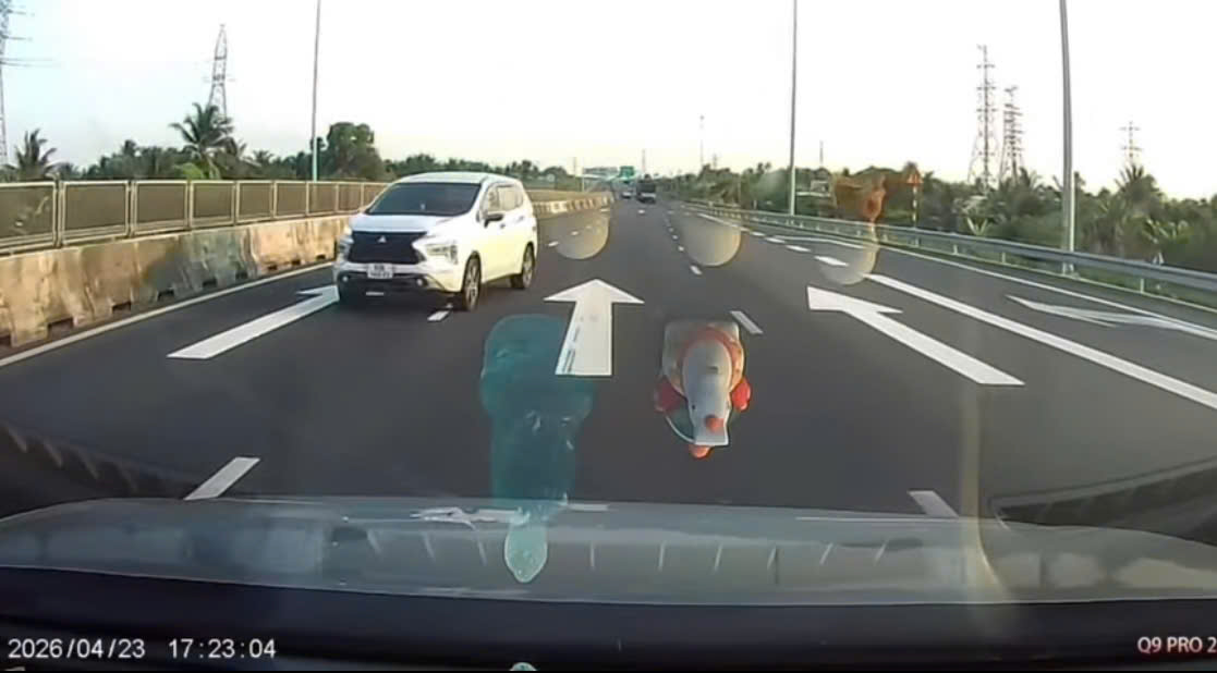 Bị phạt 35 triệu đồng vì chạy xe ngược chiều trên cao tốc - Ảnh 1.