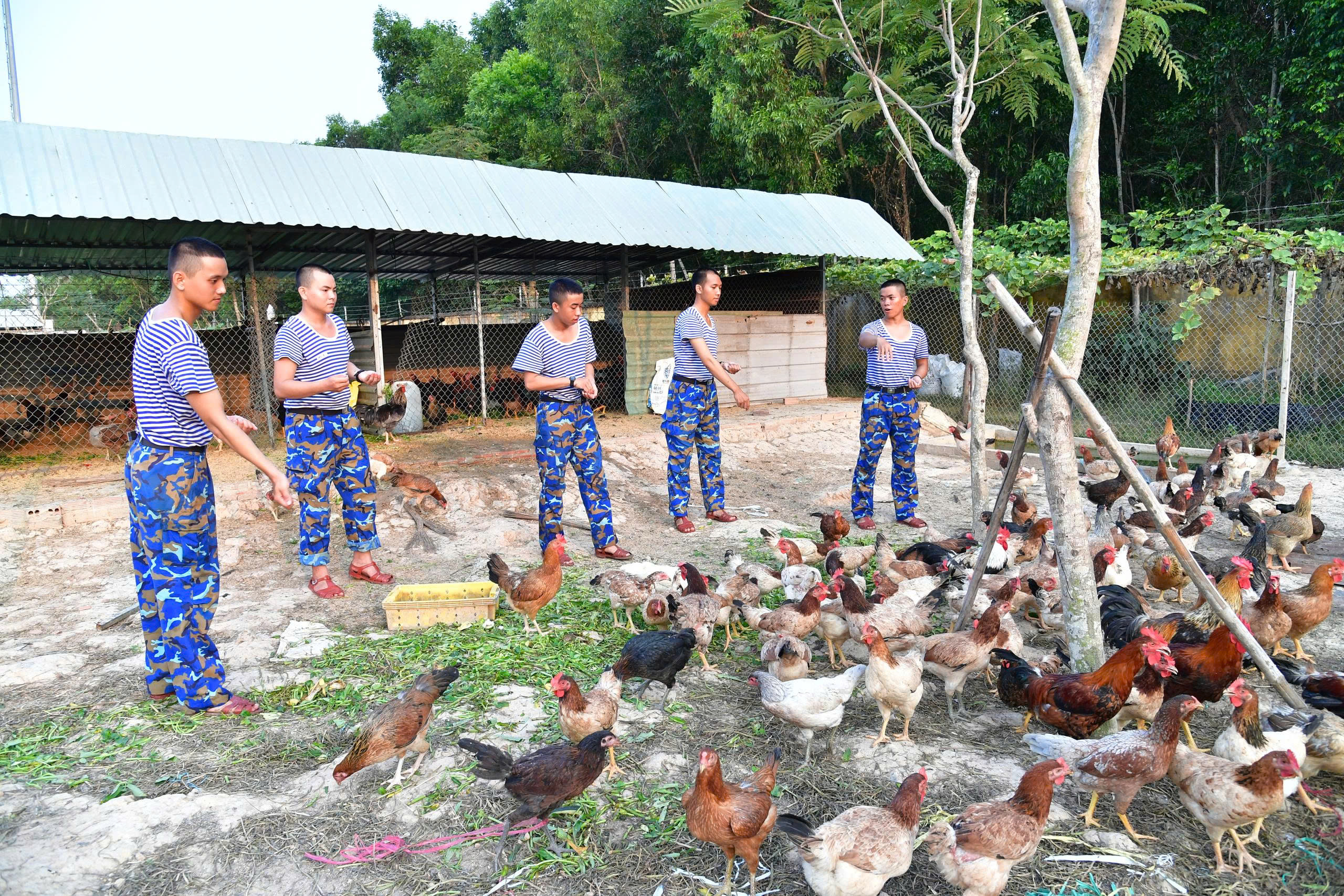 Thao trường của những người lính trẻ Vùng 2 Hải quân- Ảnh 19.