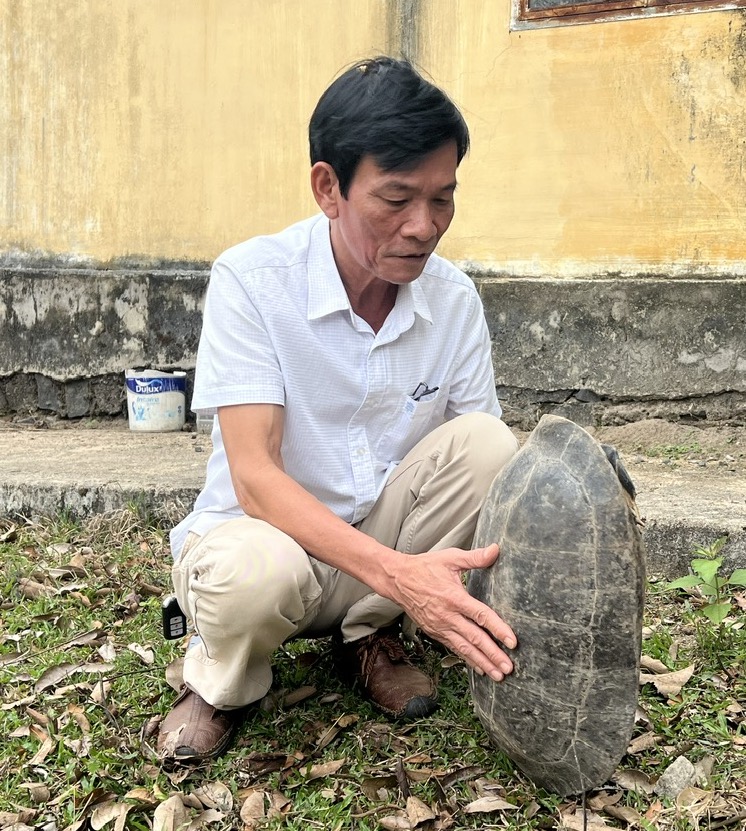 Vườn Quốc gia Kon Ka Kinh hồi sinh những 'báu vật' đại ngàn - Ảnh 1.