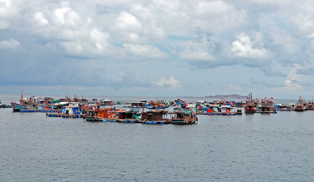 Cà Mau viết lại cấu trúc phát triển- Ảnh 3.