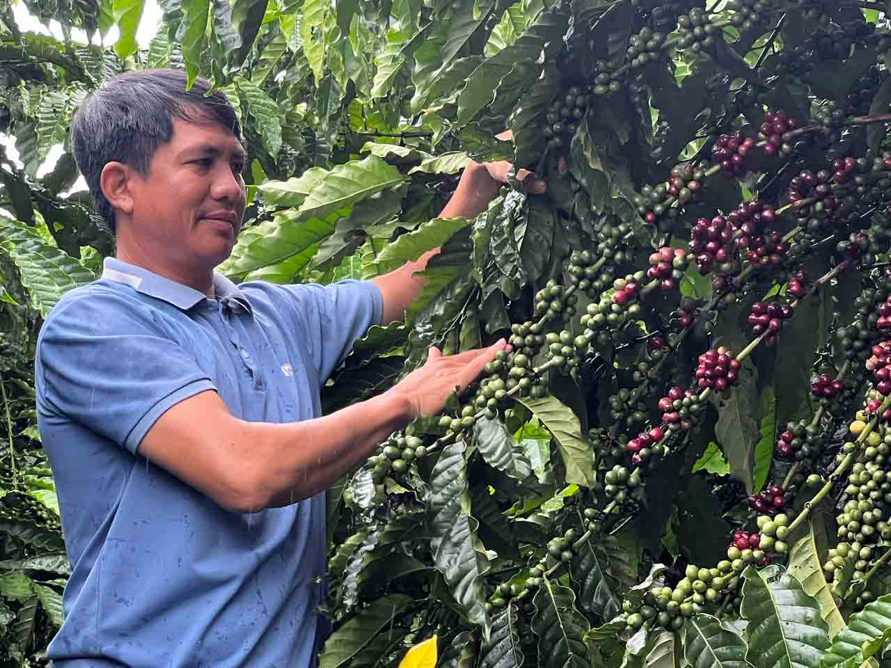 Một phần của ký ức- Ảnh 1.