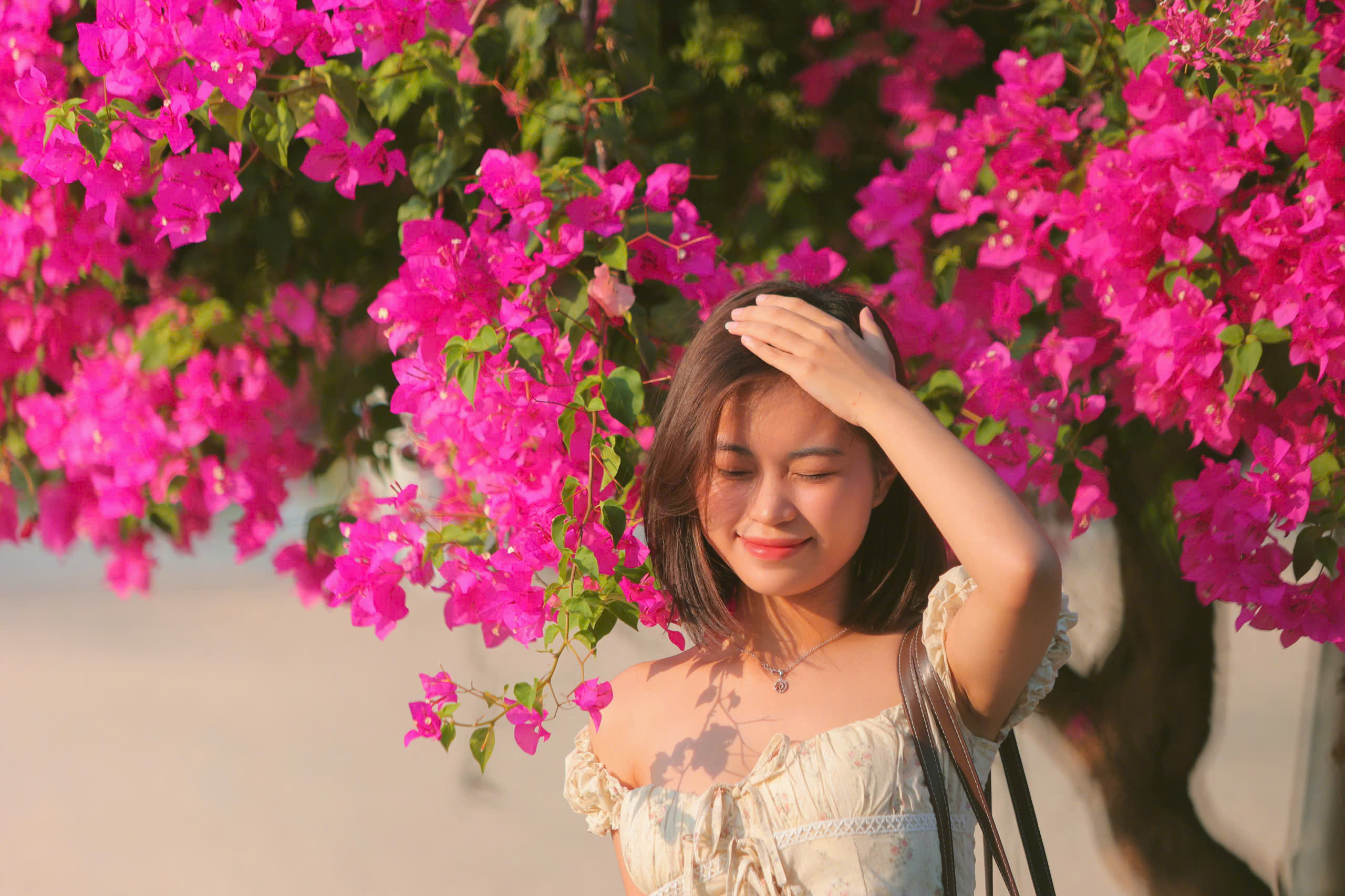 Chen nhau check-in con đường hoa giấy gây 'sốt' tại Nha Trang- Ảnh 13.