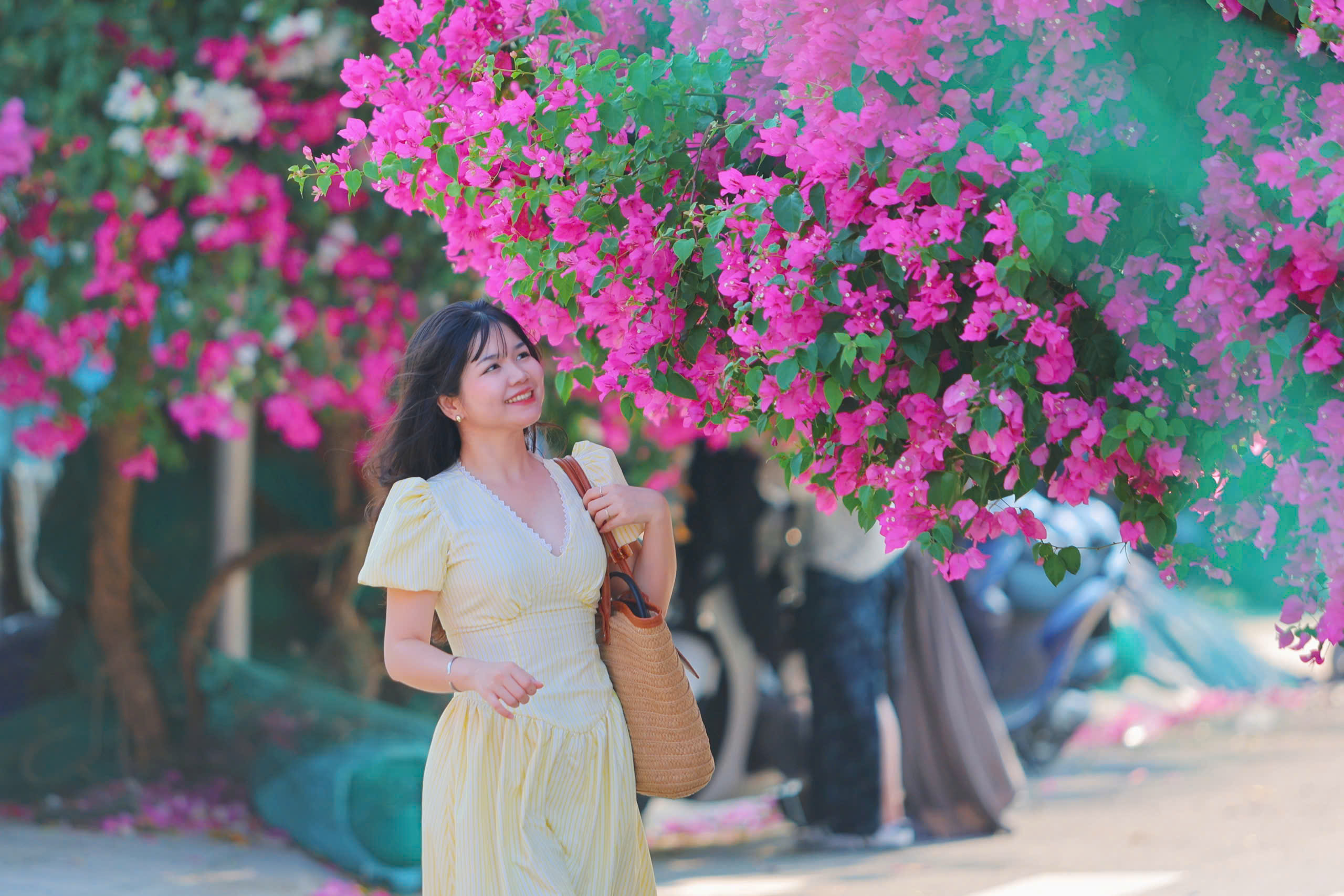 Chen nhau check-in con đường hoa giấy gây 'sốt' tại Nha Trang- Ảnh 4.