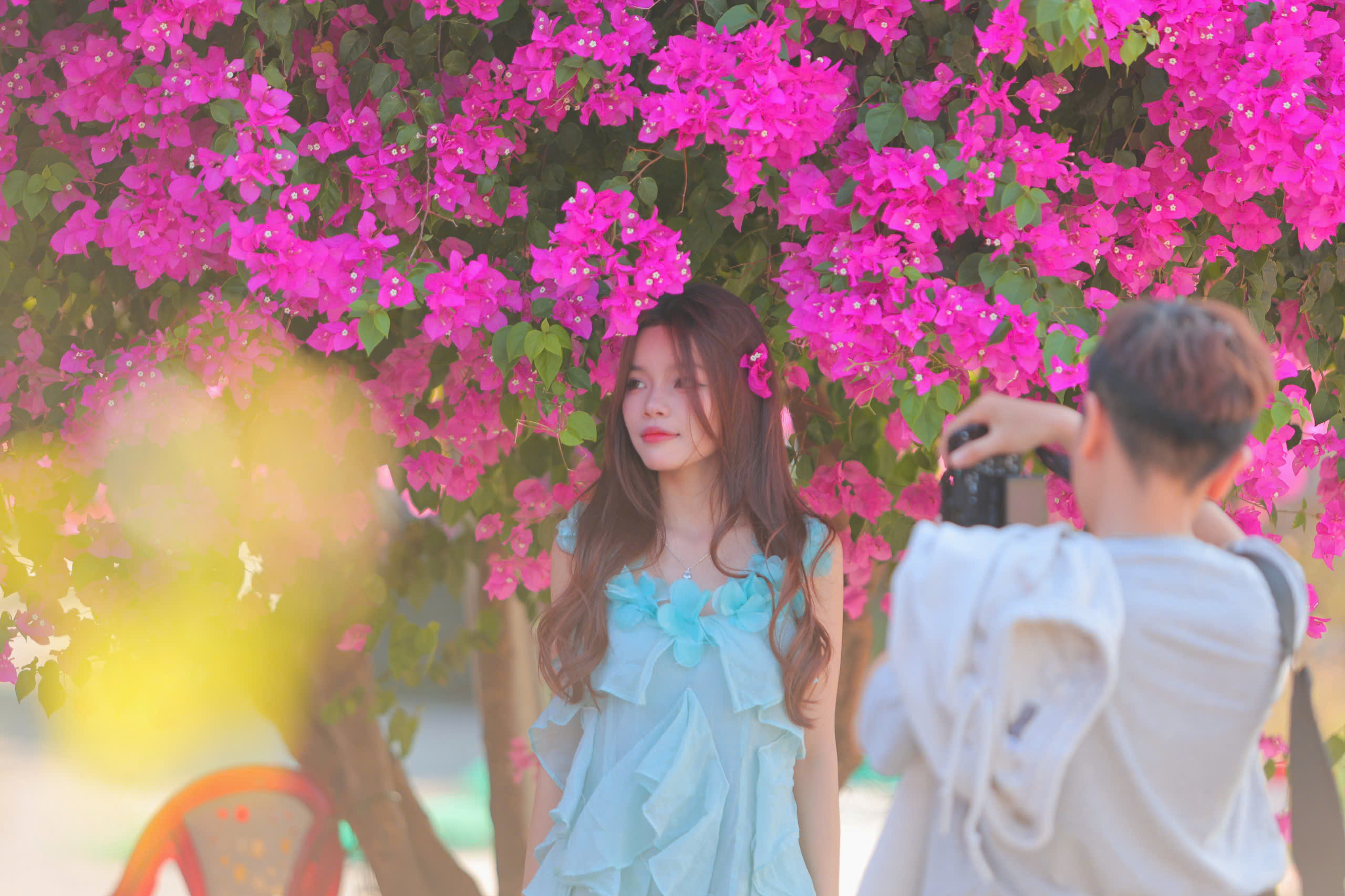 Chen nhau check-in con đường hoa giấy gây 'sốt' tại Nha Trang- Ảnh 2.