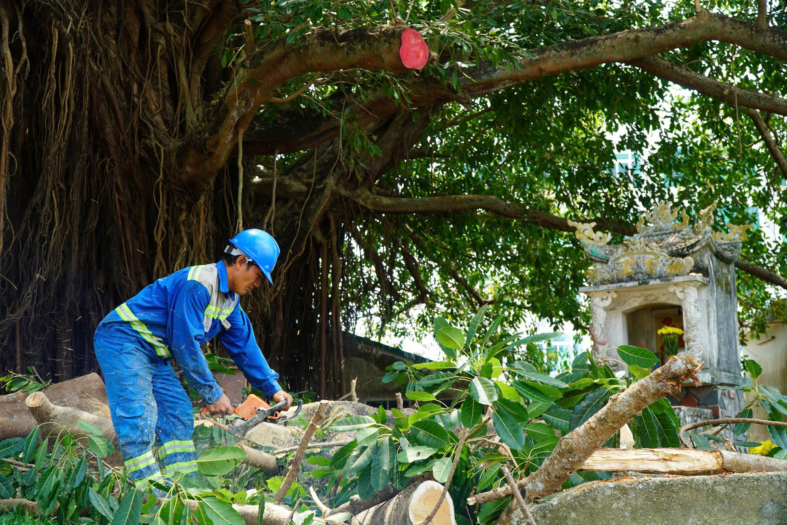 Nhánh cây đa trăm tuổi gãy đổ, hàng chục người tập trung bên dưới hú vía- Ảnh 3.