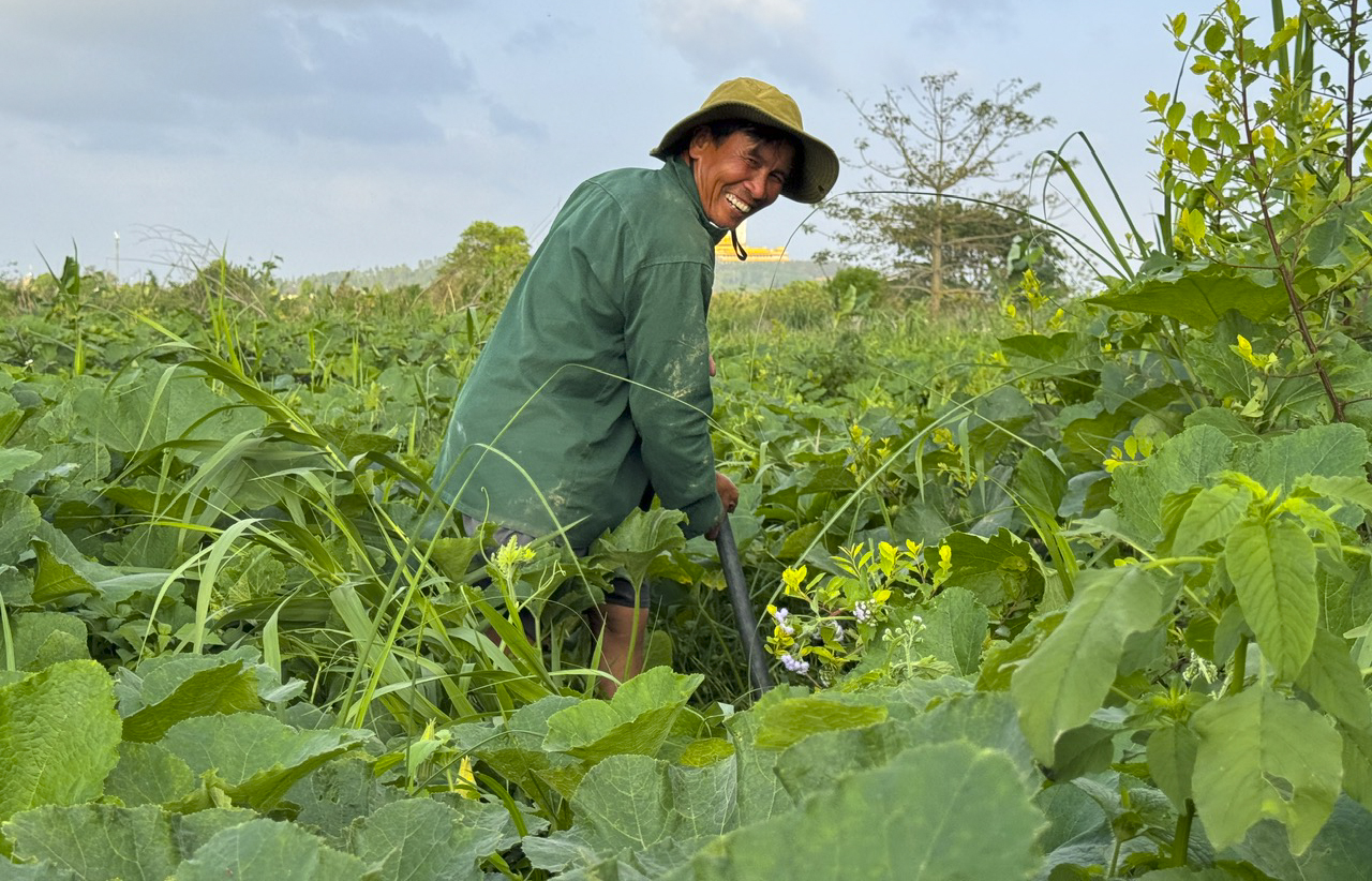 Mưu sinh trên sông Trà: Nương phù sa mà sống, theo con nước mà đi- Ảnh 5.