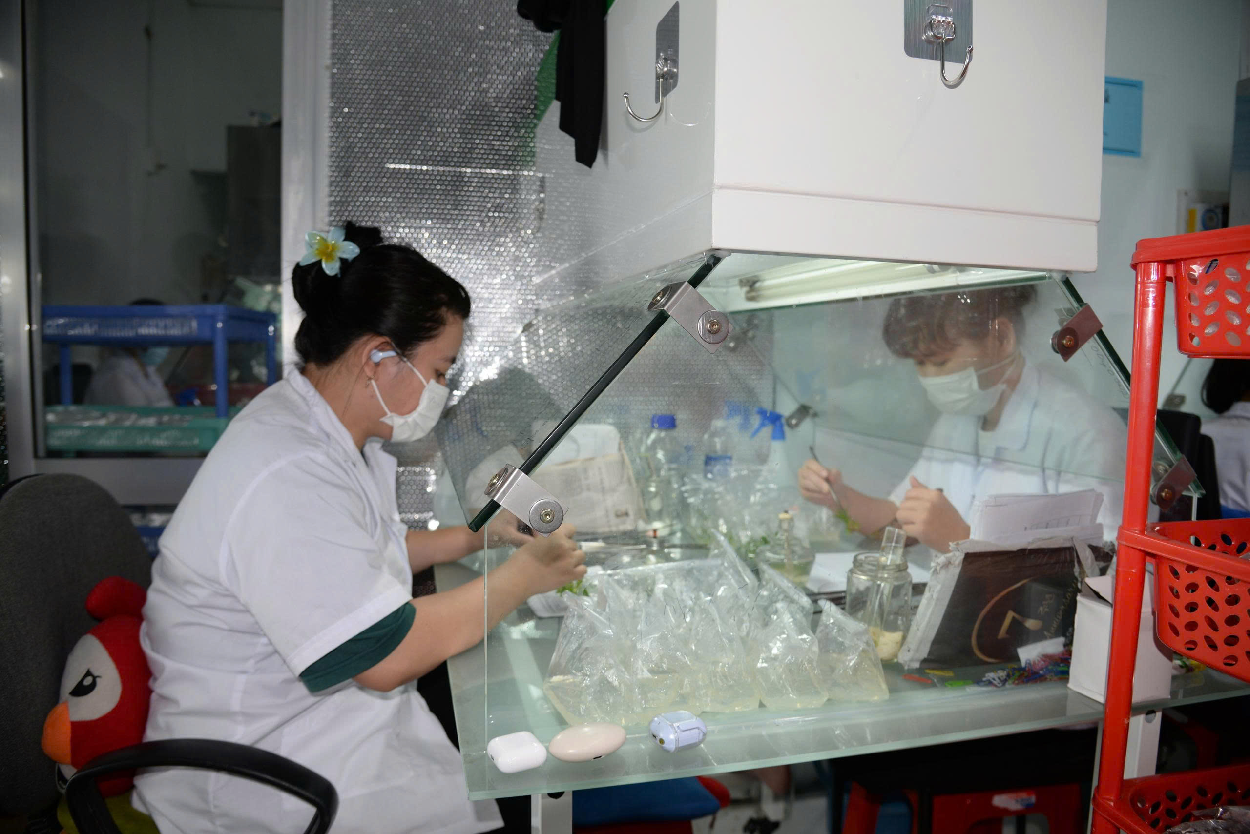 Nông nghiệp công nghệ cao ở đất sen hồng- Ảnh 2.
