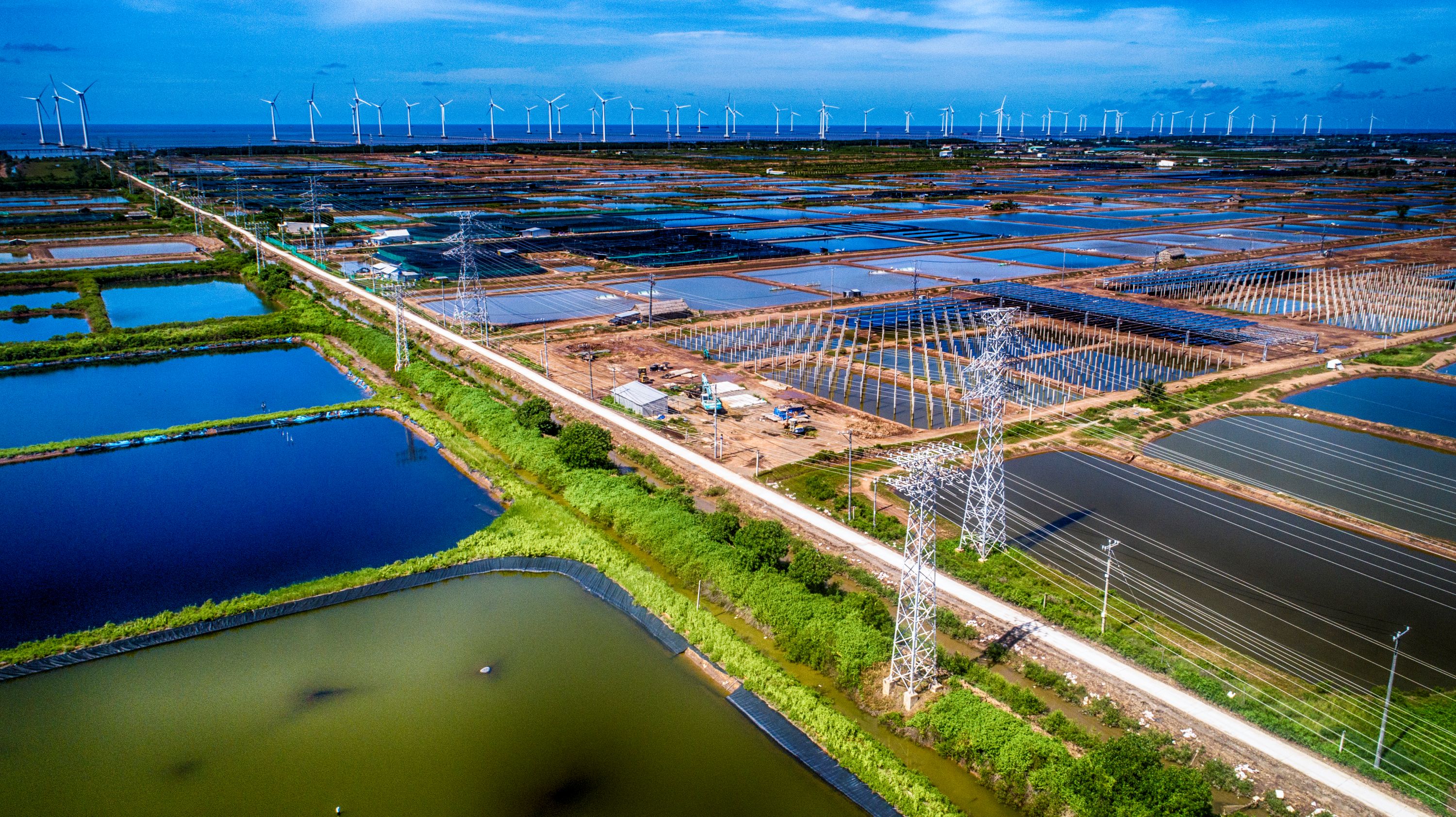 Cà Mau với khát vọng vươn xa- Ảnh 3.