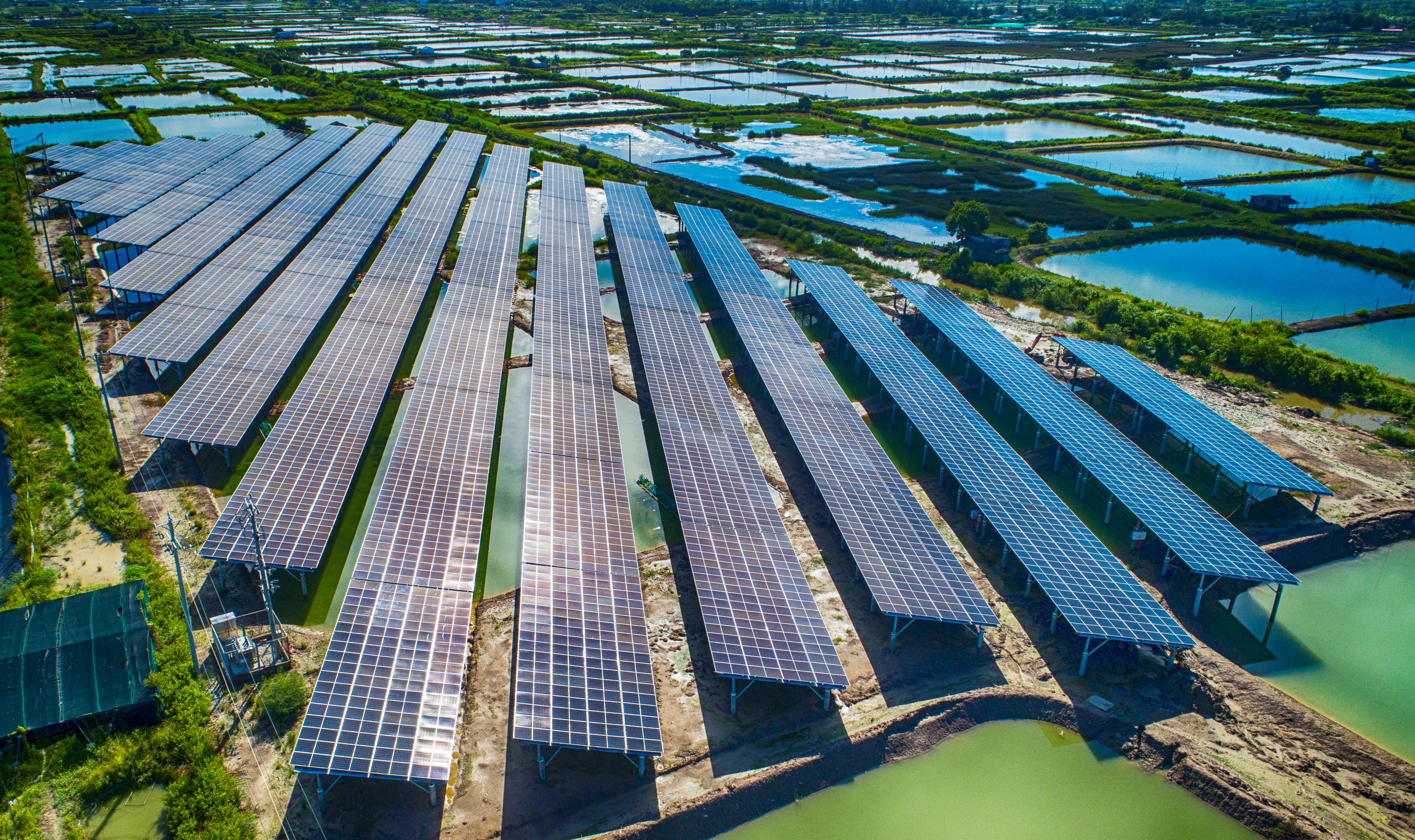 Cà Mau với khát vọng vươn xa- Ảnh 5.