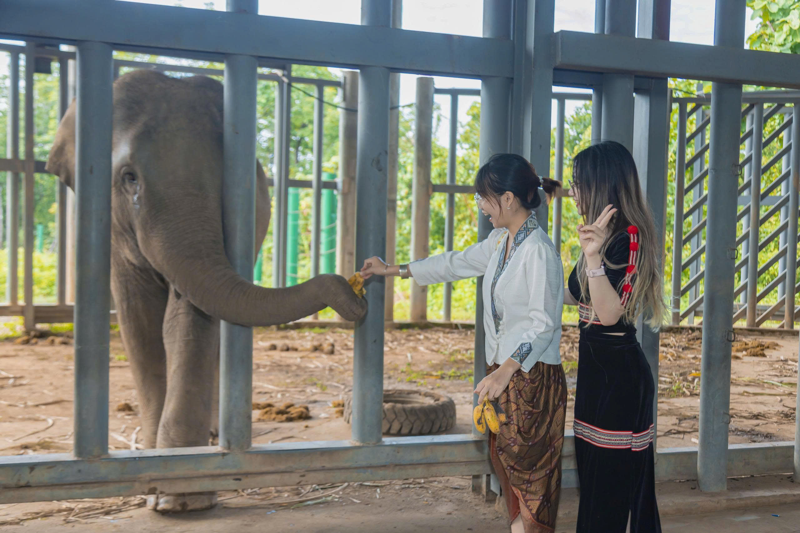 Chàng trai Việt - Lào 'thắp lửa' du lịch Buôn Đôn- Ảnh 2.