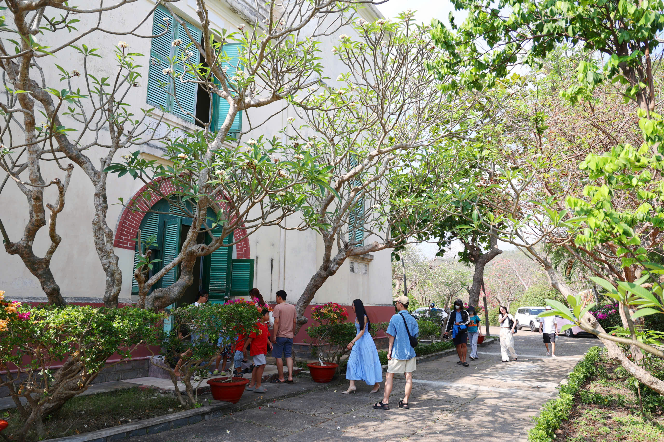 Biệt thự Cầu Đ&aacute; Nha Trang mở cửa đ&oacute;n kh&aacute;ch sau hơn 10 năm dừng hoạt động- Ảnh 4.