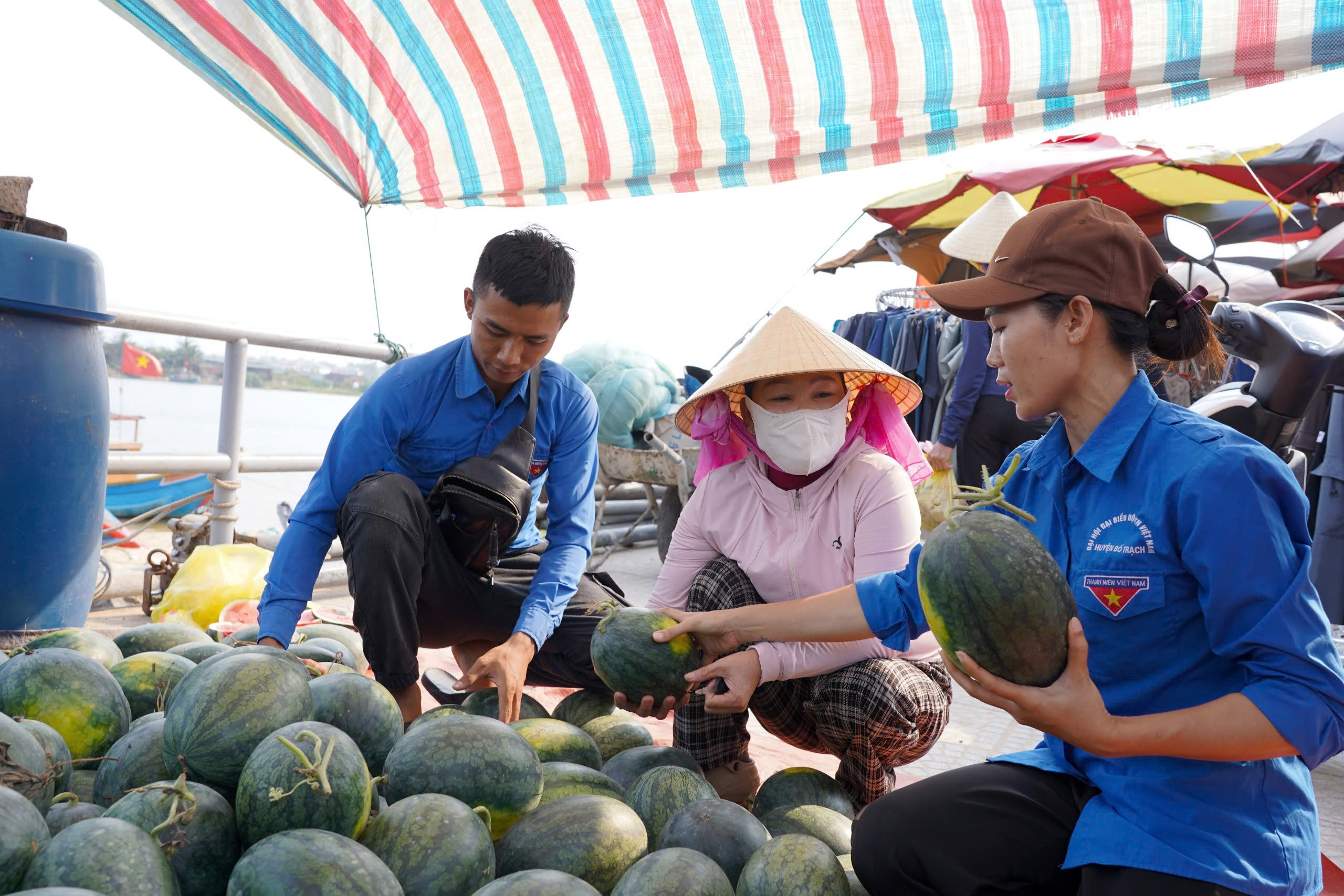 Dưa hấu giá rẻ chỉ 3.000 đồng/kg, nông dân Quảng Trị 'đứng ngồi không yên'- Ảnh 7.