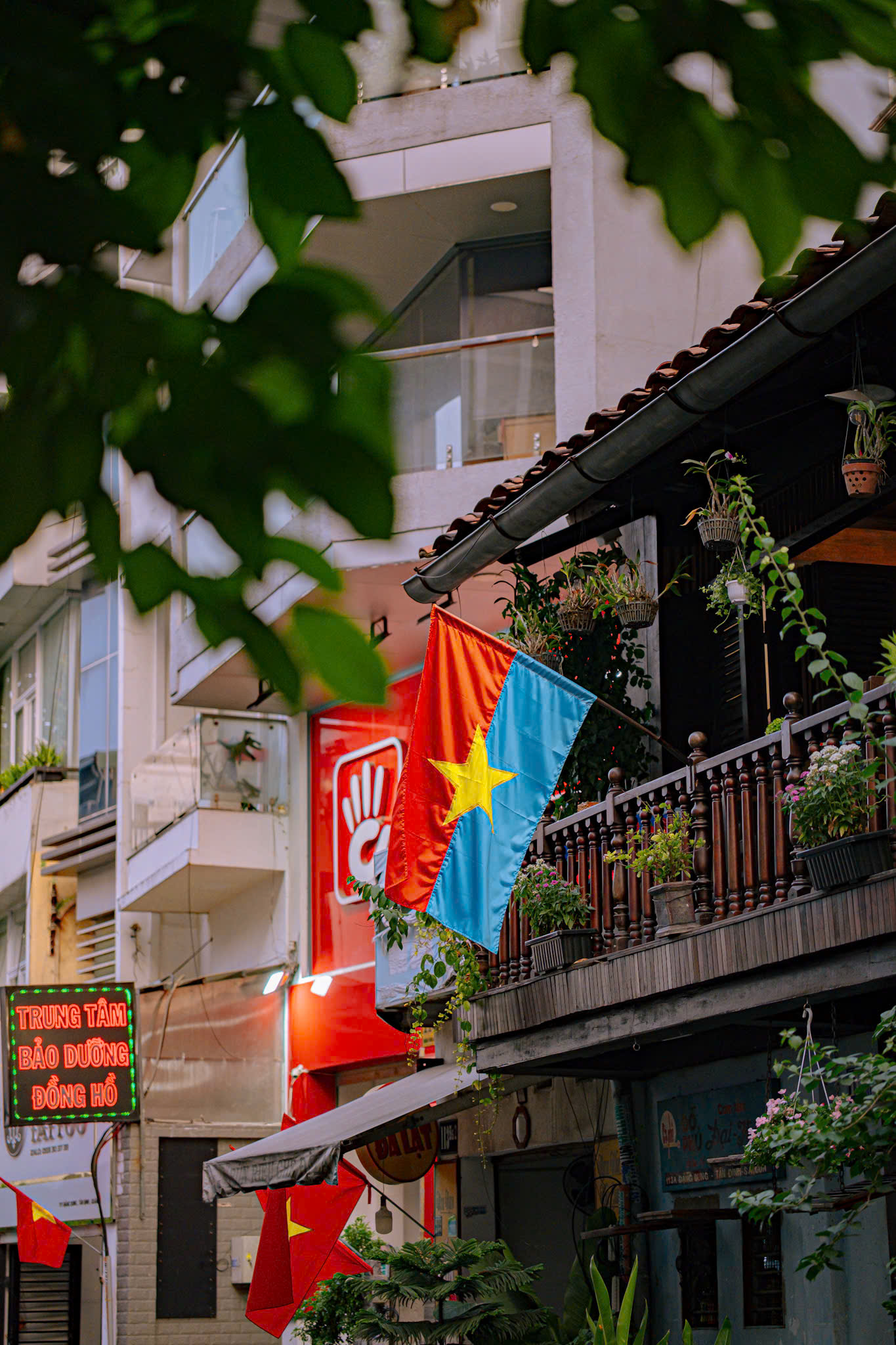 Con đường ở TP.HCM rợp sắc cờ Tổ quốc, nhìn là thấy tự hào - Ảnh 7.