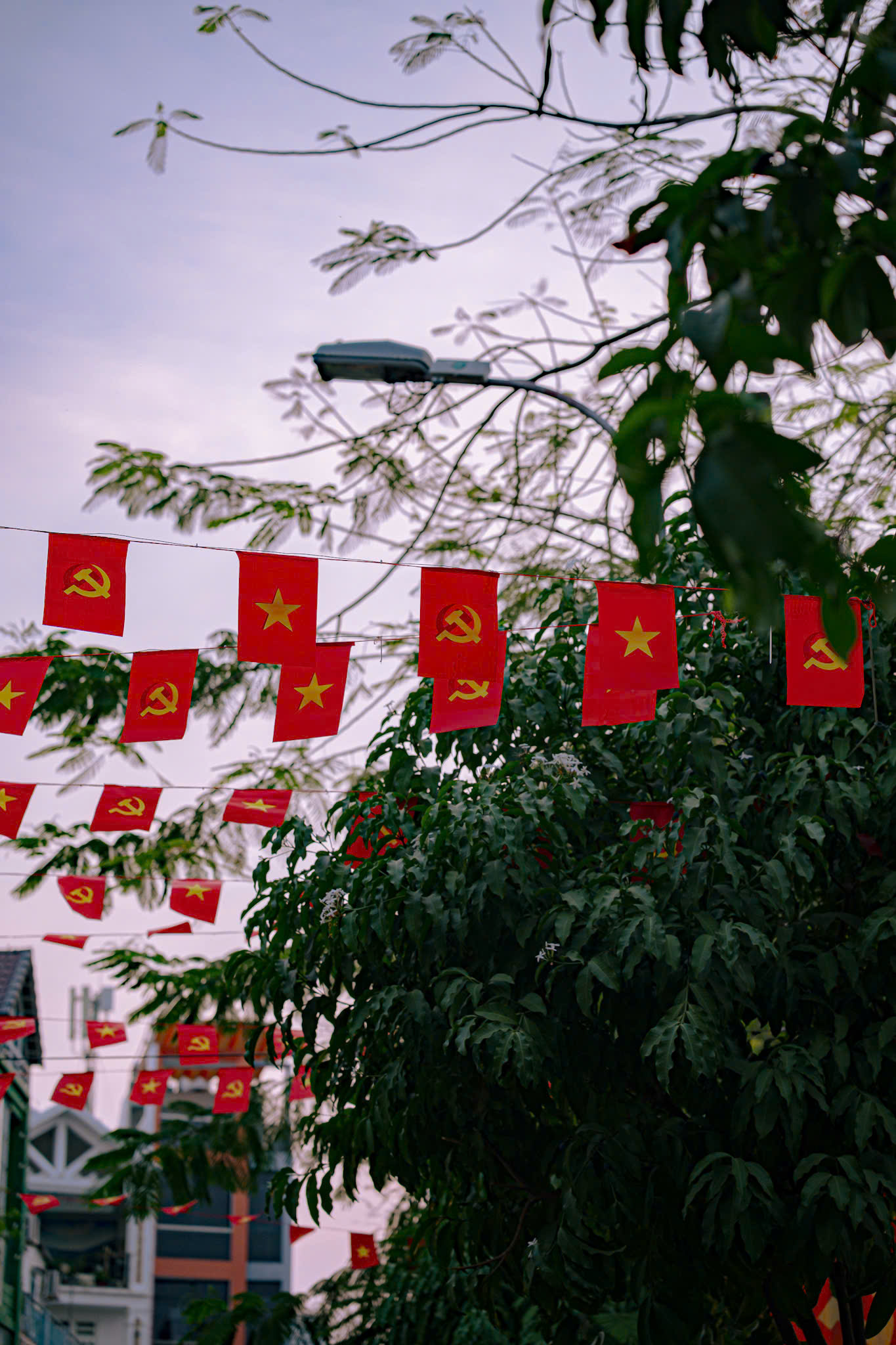 Con đường ở TP.HCM rợp sắc cờ Tổ quốc, nhìn là thấy tự hào - Ảnh 6.