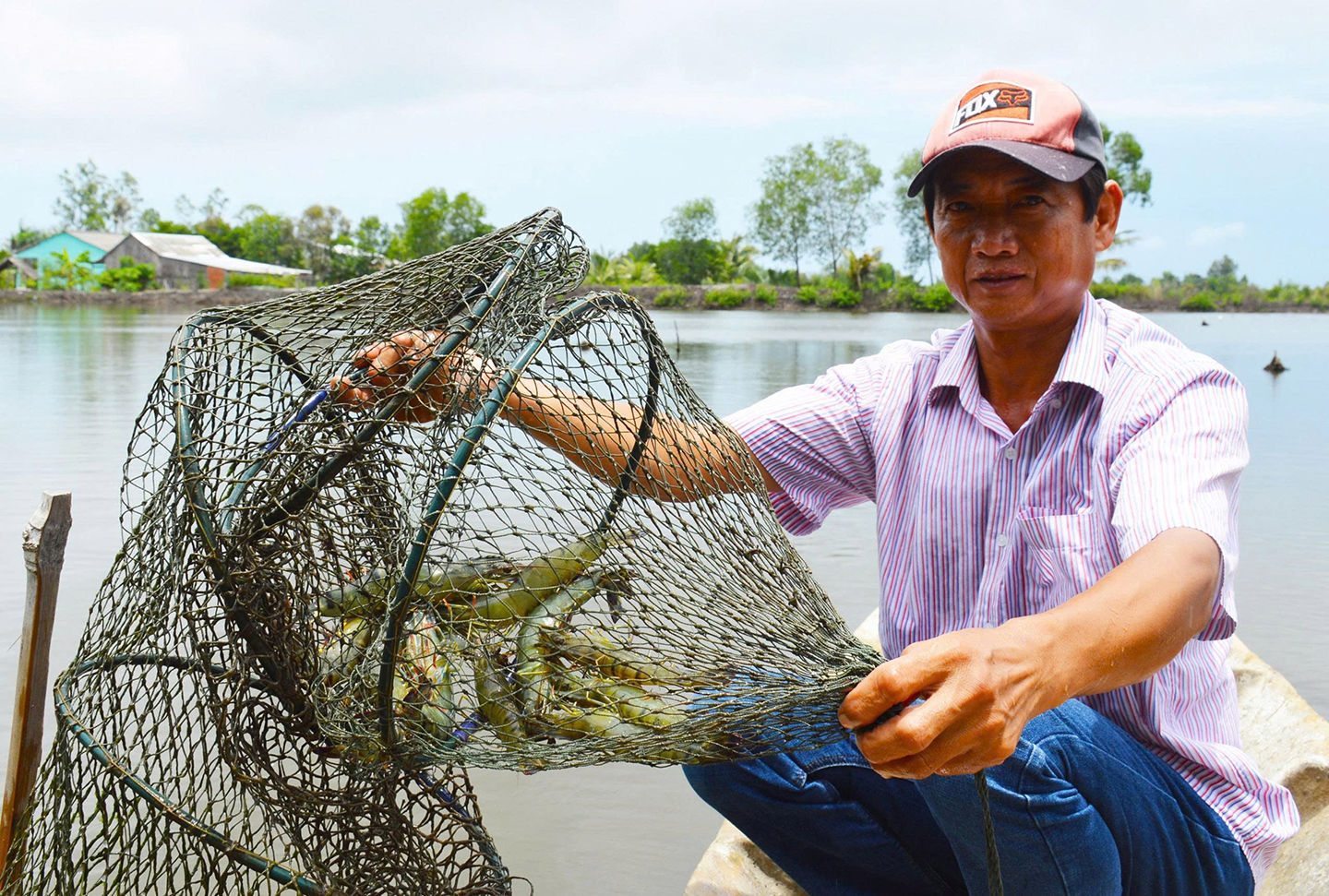 Xã Hồ Thị Kỷ chuyển hướng sản xuất nông nghiệp thích ứng biến đổi khí hậu - Ảnh 2.