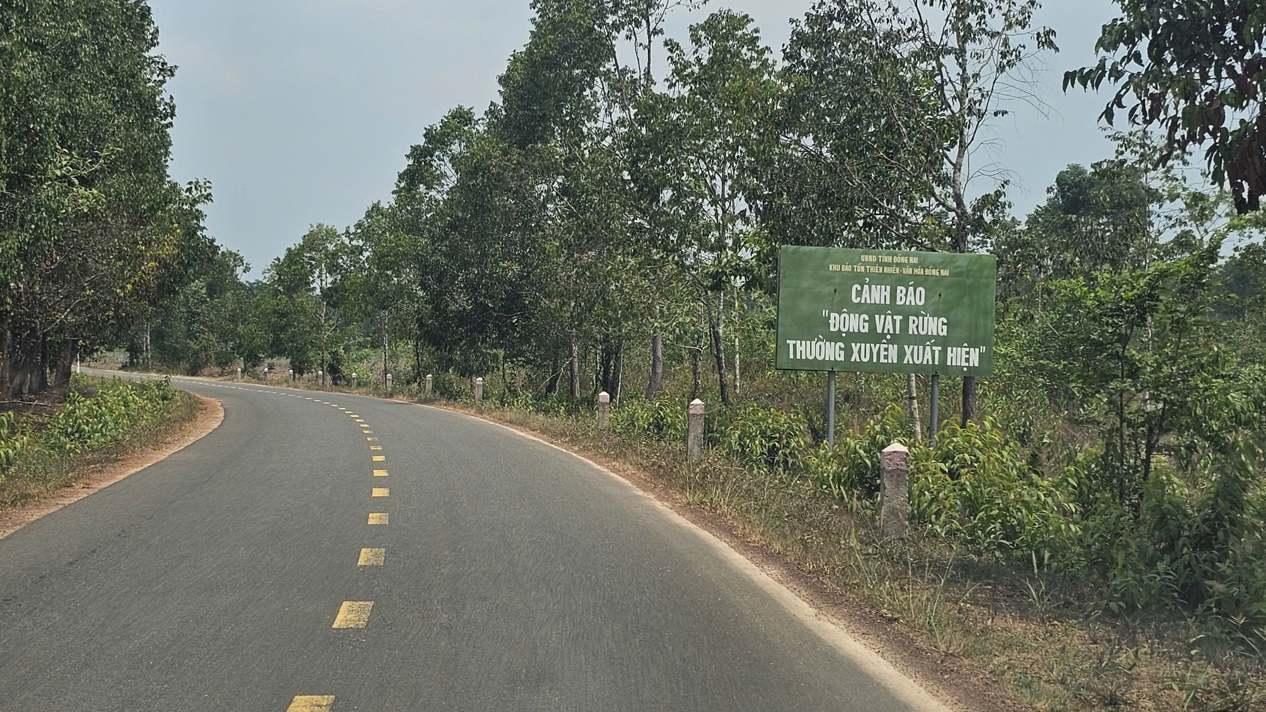 Đường kết nối Bình Phước cũ với Đồng Nai cũ sẽ có 8 xe  - Ảnh 2.