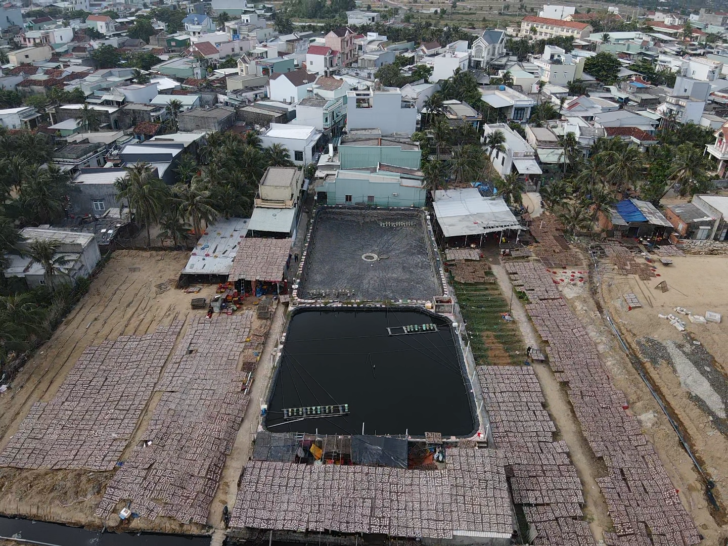 Chế biến mực xà tại Đề Gi: 54 hộ làm khổ 7.000 dân- Ảnh 1.