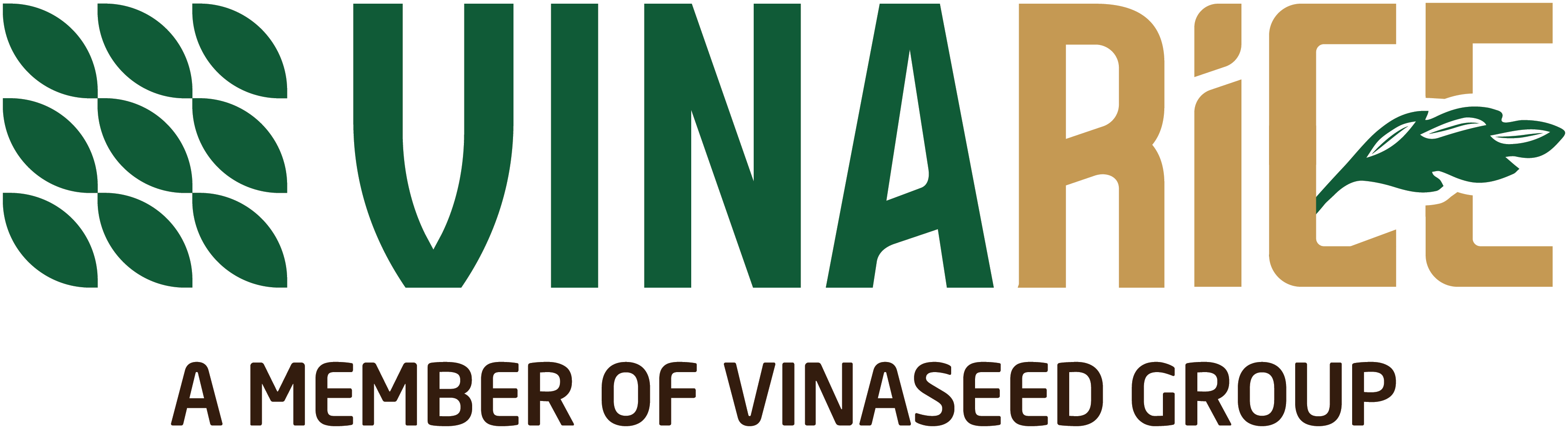 Đài Thơm 8 - Hạt gạo Việt trở thành thước đo giá trị - Ảnh 1.