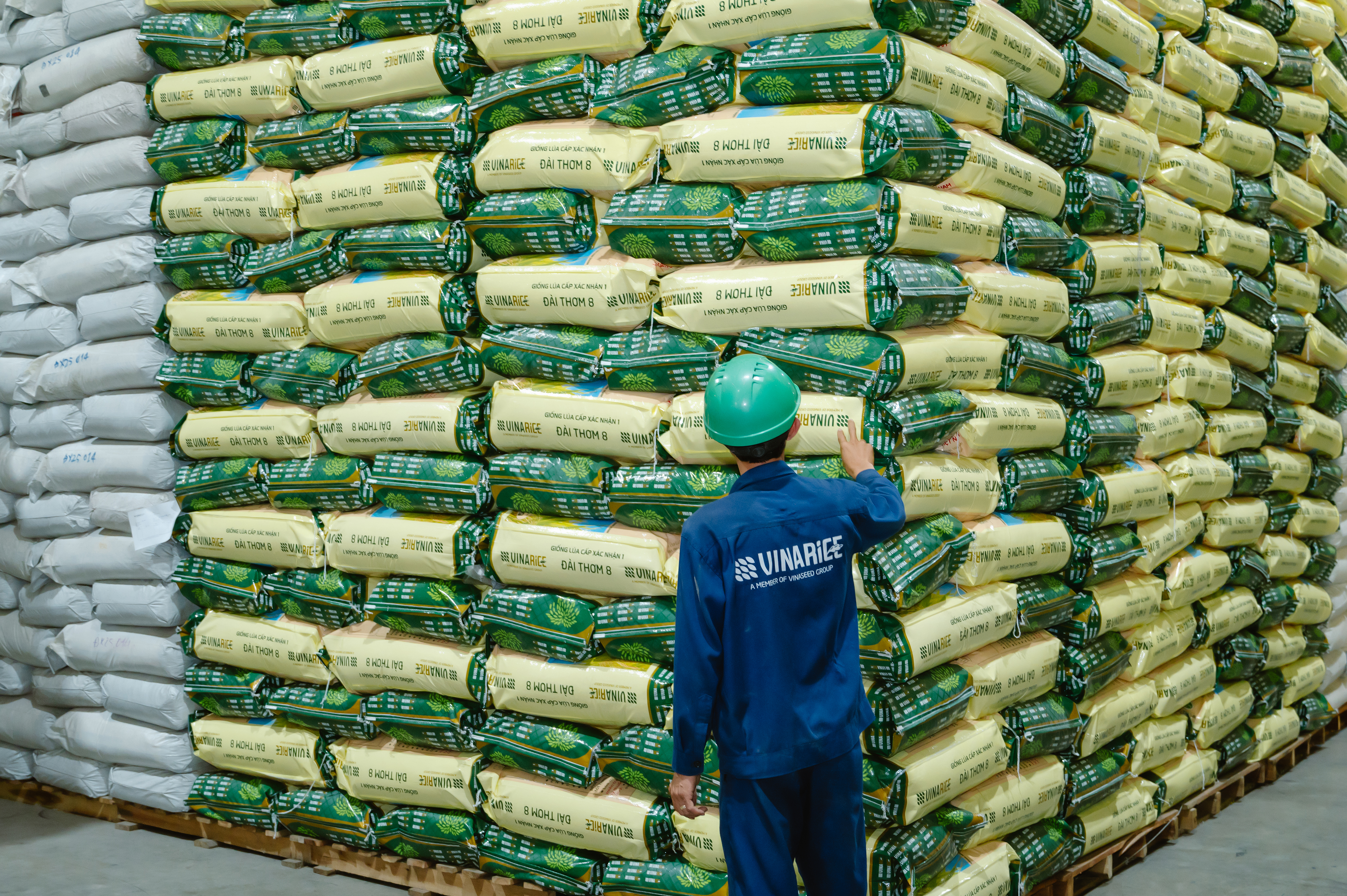 Đài Thơm 8 - Hạt gạo Việt trở thành thước đo giá trị - Ảnh 2.