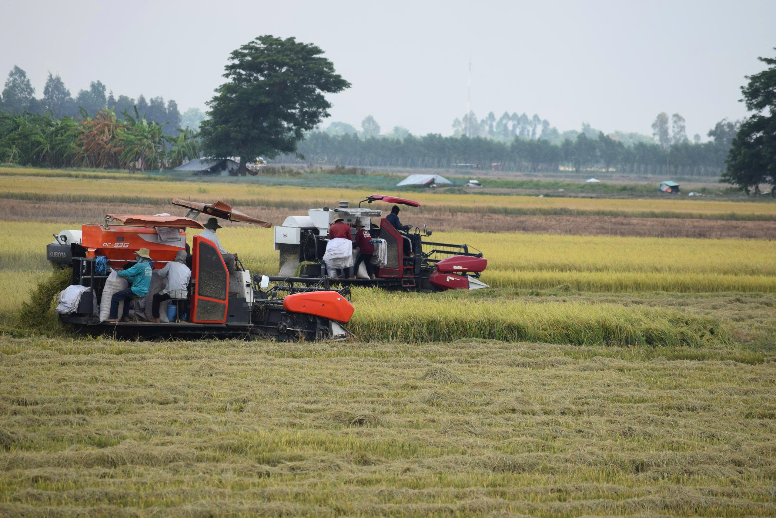 An Giang nỗ lực trở thành mô hình phát triển mới của Việt Nam - Ảnh 5.