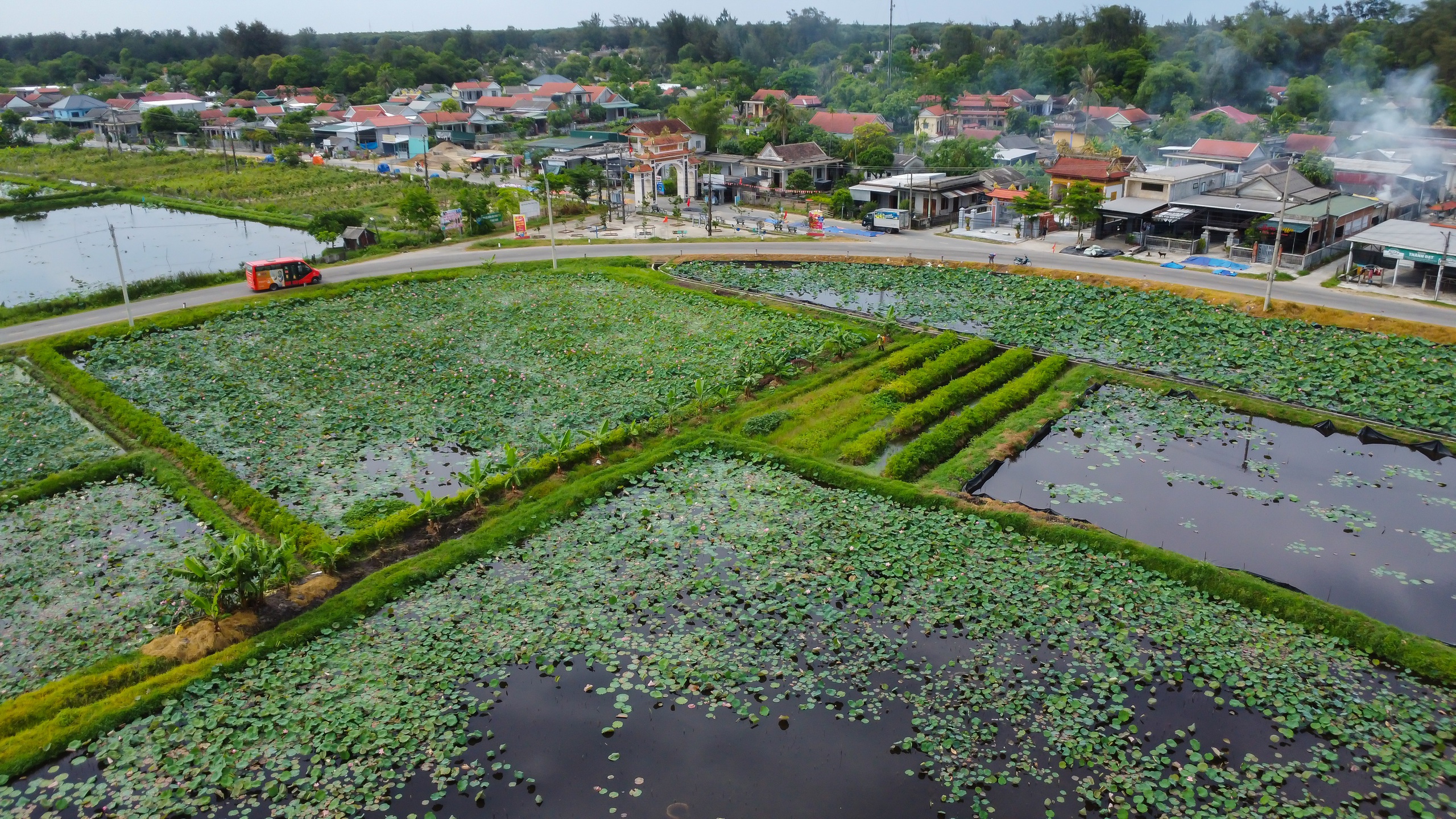 Hồ sen trước một ng&ocirc;i l&agrave;ng ven biển ở Huế đẹp như tranh- Ảnh 3.