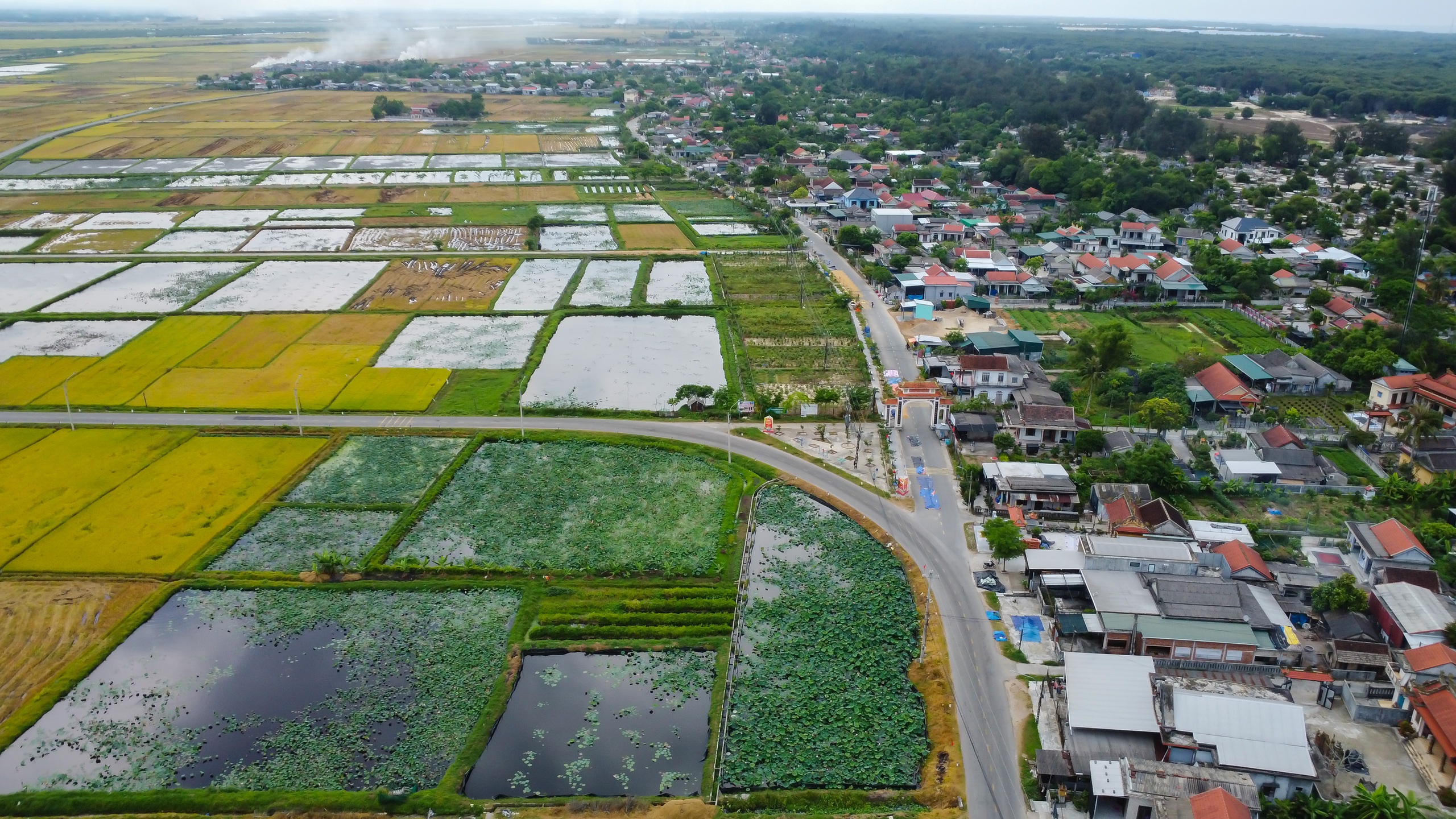 Hồ sen trước một ng&ocirc;i l&agrave;ng ven biển ở Huế đẹp như tranh- Ảnh 6.