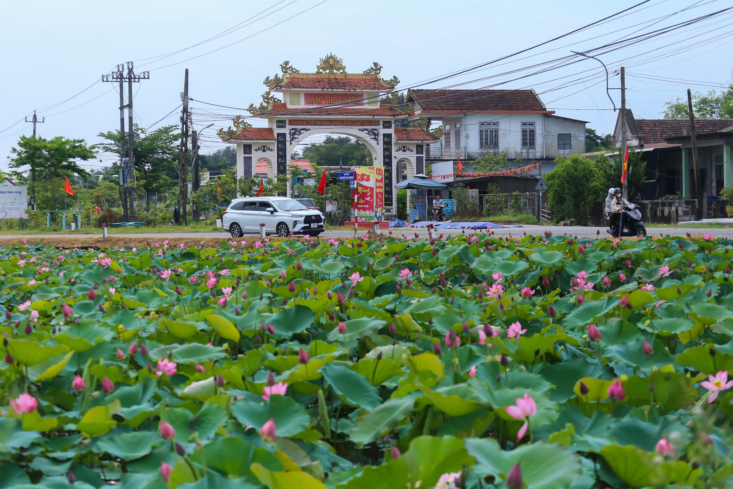 Hồ sen trước một ng&ocirc;i l&agrave;ng ven biển ở Huế đẹp như tranh- Ảnh 2.