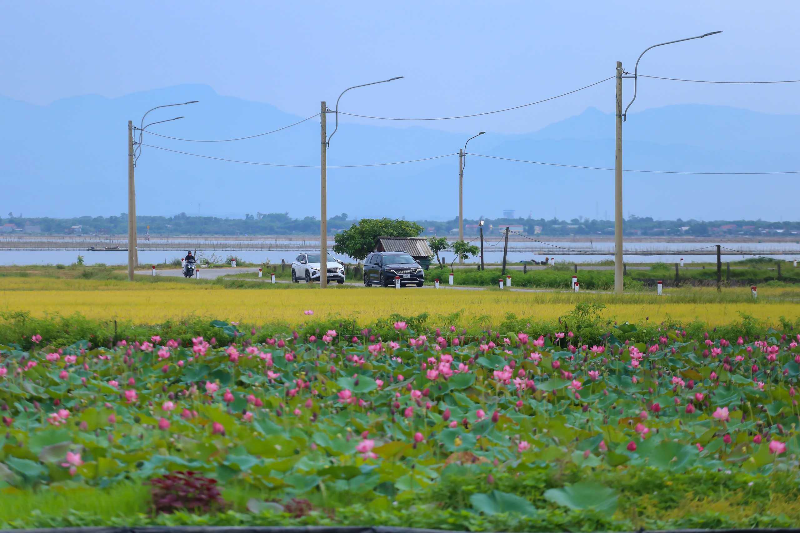 Hồ sen trước một ng&ocirc;i l&agrave;ng ven biển ở Huế đẹp như tranh- Ảnh 12.