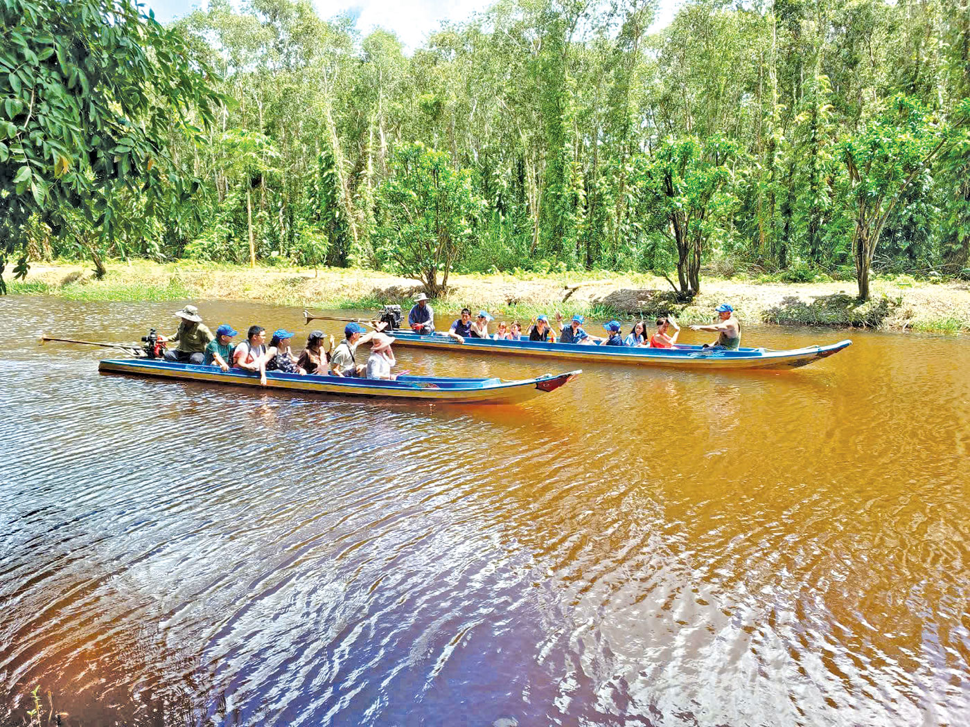 U Minh Hạ bứt tốc từ cây giống, mở lối kinh tế rừng bền vững - Ảnh 2.
