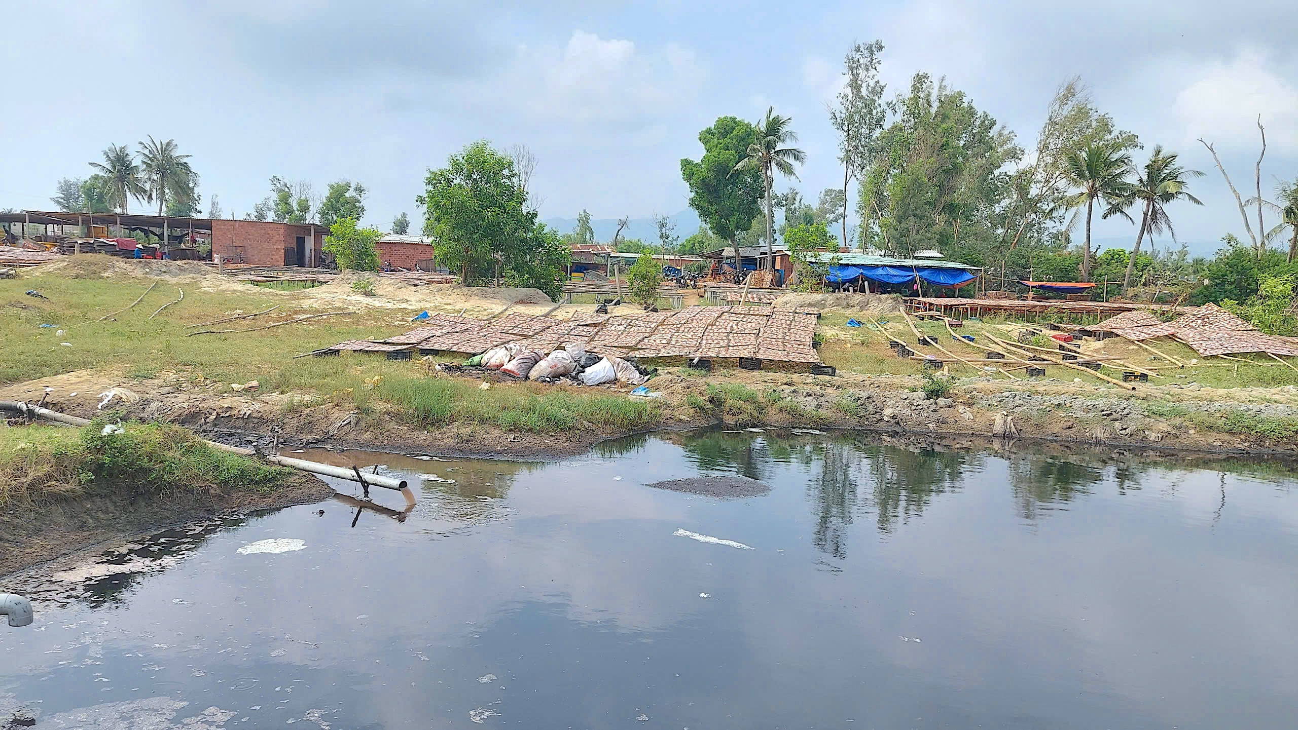 Chế biến mực xà tại Đề Gi: 54 hộ làm khổ 7.000 dân- Ảnh 5.