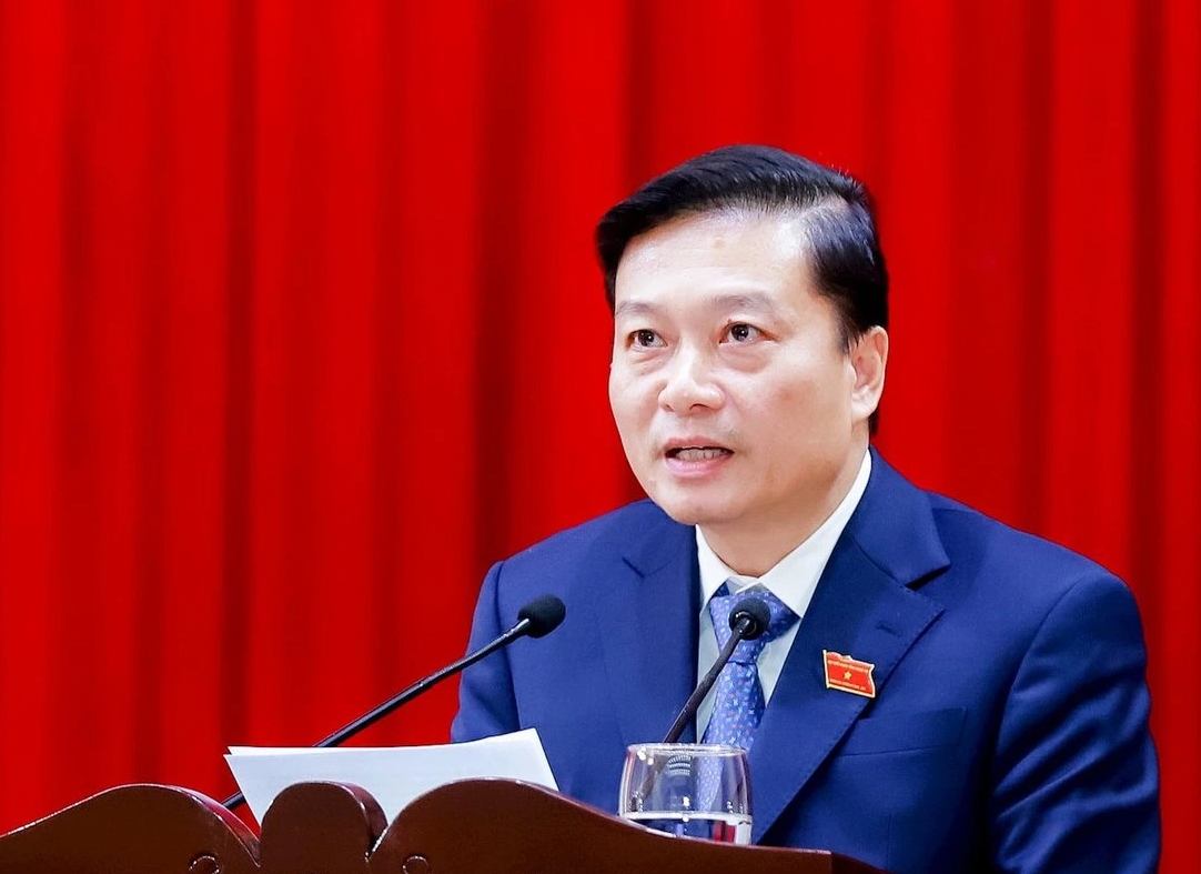 Phê chuẩn chủ tịch, phó chủ tịch 31 tỉnh, thành- Ảnh 20.