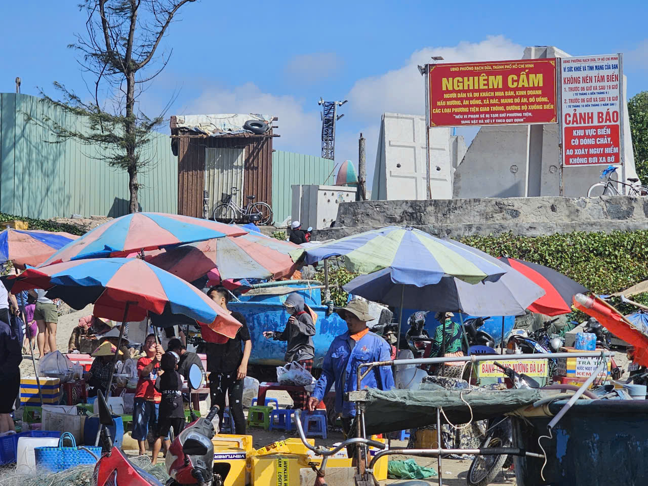 Chợ hải sản tự phát tại biển Long Cung gây ô nhiễm môi trường nghiêm trọng - Ảnh 1. Chợ hải sản tự phát tại biển Long Cung gây ô nhiễm môi trường nghiêm trọng - Ảnh 1.