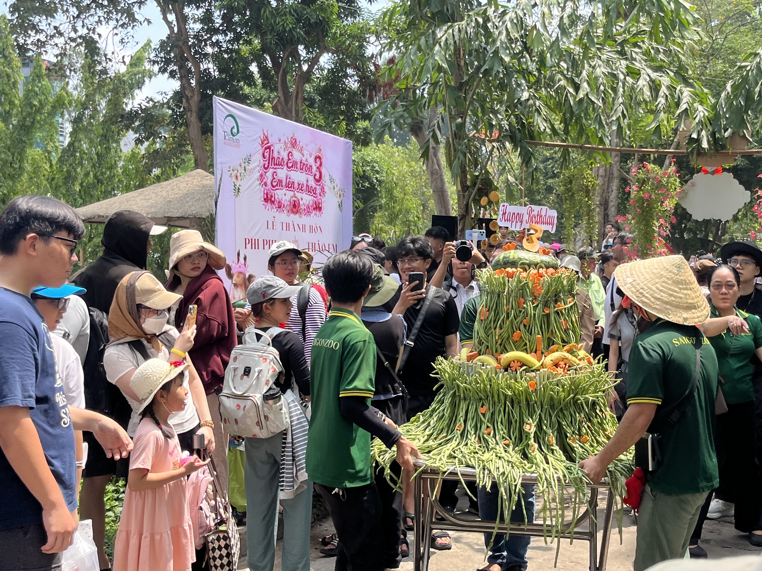 Xem hươu cao cổ &ldquo;l&agrave;m đ&aacute;m cưới&rdquo;: Đ&ocirc;ng k&iacute;n người tại Thảo Cầm Vi&ecirc;n S&agrave;i G&ograve;n - Ảnh 8.