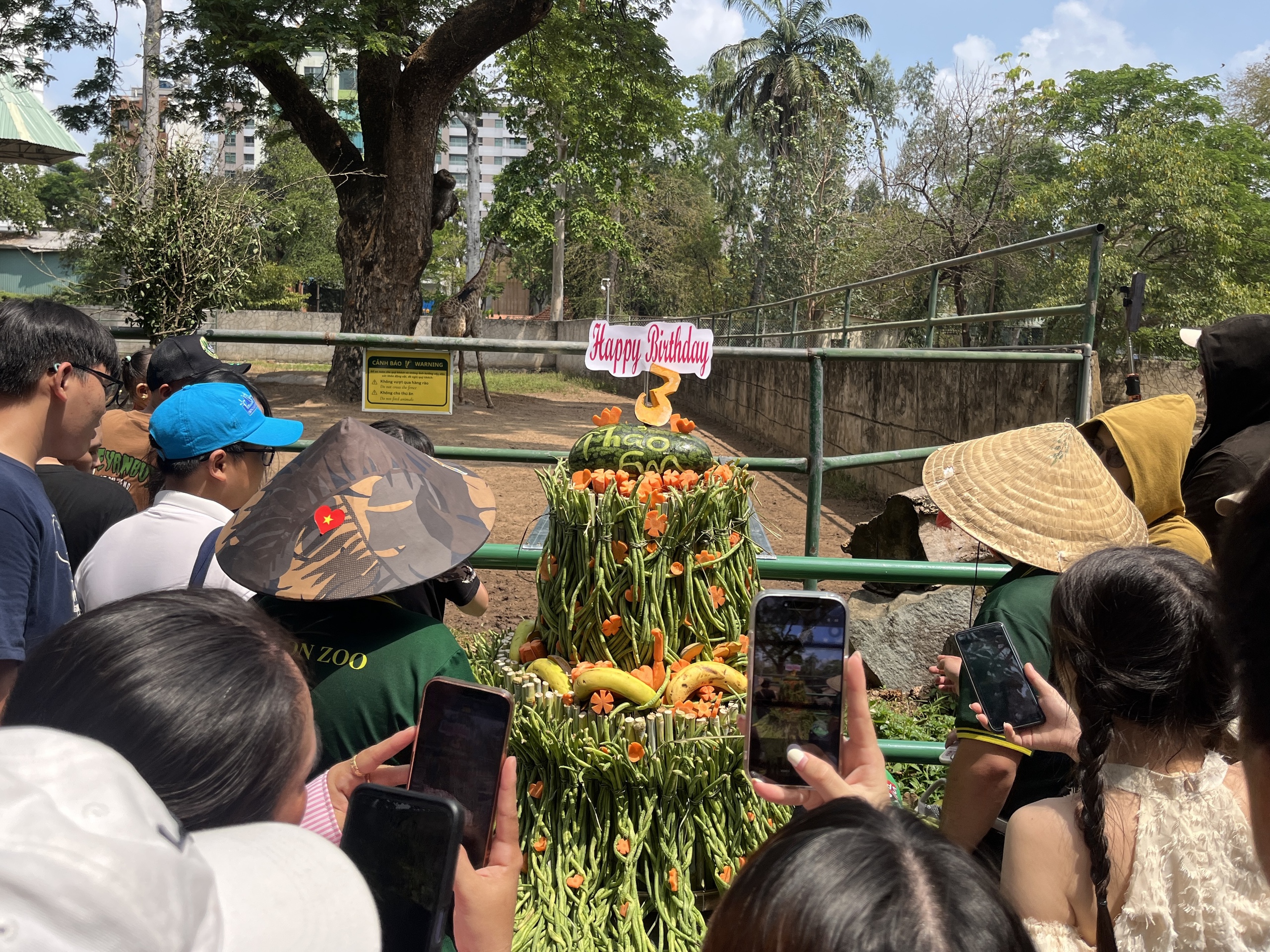 Xem hươu cao cổ &ldquo;l&agrave;m đ&aacute;m cưới&rdquo;: Đ&ocirc;ng k&iacute;n người tại Thảo Cầm Vi&ecirc;n S&agrave;i G&ograve;n - Ảnh 9.