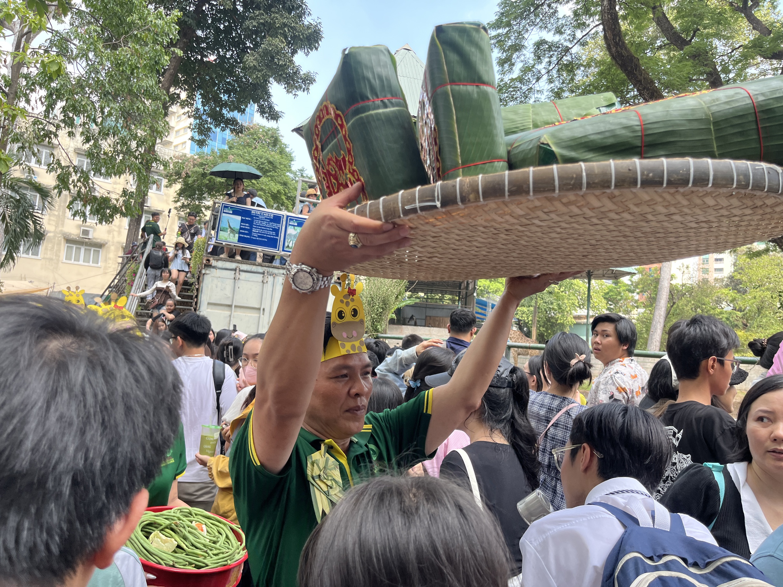 Xem hươu cao cổ &ldquo;l&agrave;m đ&aacute;m cưới&rdquo;: Đ&ocirc;ng k&iacute;n người tại Thảo Cầm Vi&ecirc;n S&agrave;i G&ograve;n - Ảnh 6.