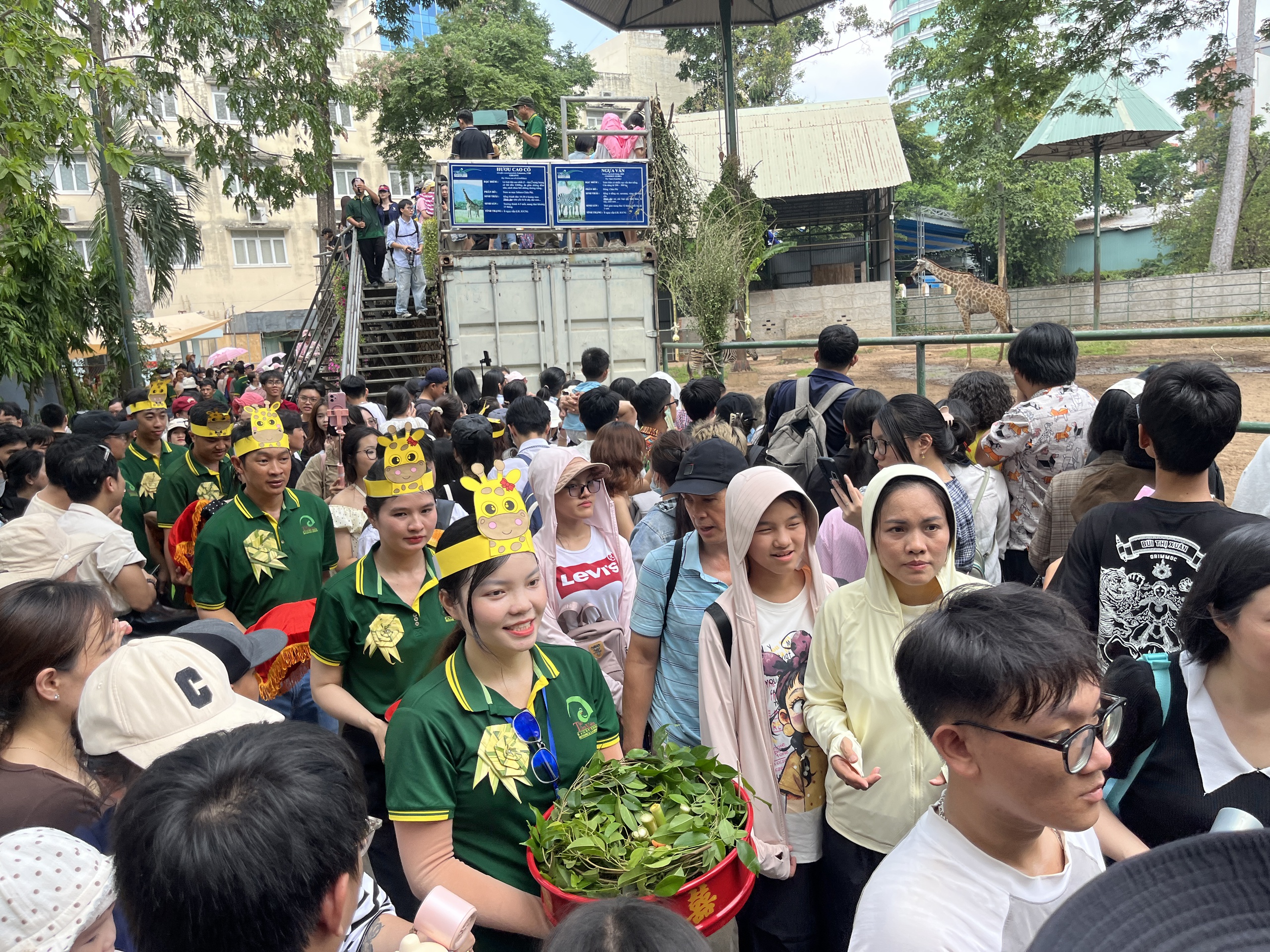 Xem hươu cao cổ &ldquo;l&agrave;m đ&aacute;m cưới&rdquo;: Đ&ocirc;ng k&iacute;n người tại Thảo Cầm Vi&ecirc;n S&agrave;i G&ograve;n - Ảnh 5.