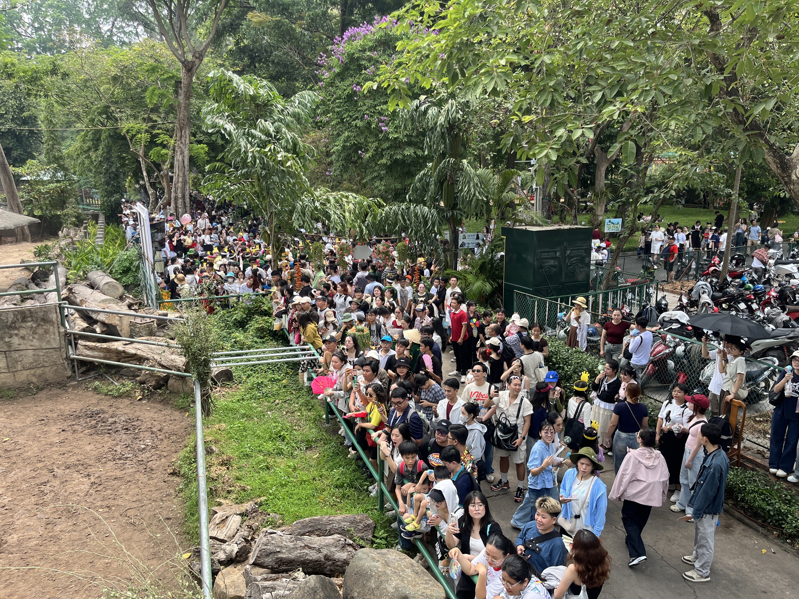 Xem hươu cao cổ &ldquo;l&agrave;m đ&aacute;m cưới&rdquo;: Đ&ocirc;ng k&iacute;n người tại Thảo Cầm Vi&ecirc;n S&agrave;i G&ograve;n - Ảnh 1.