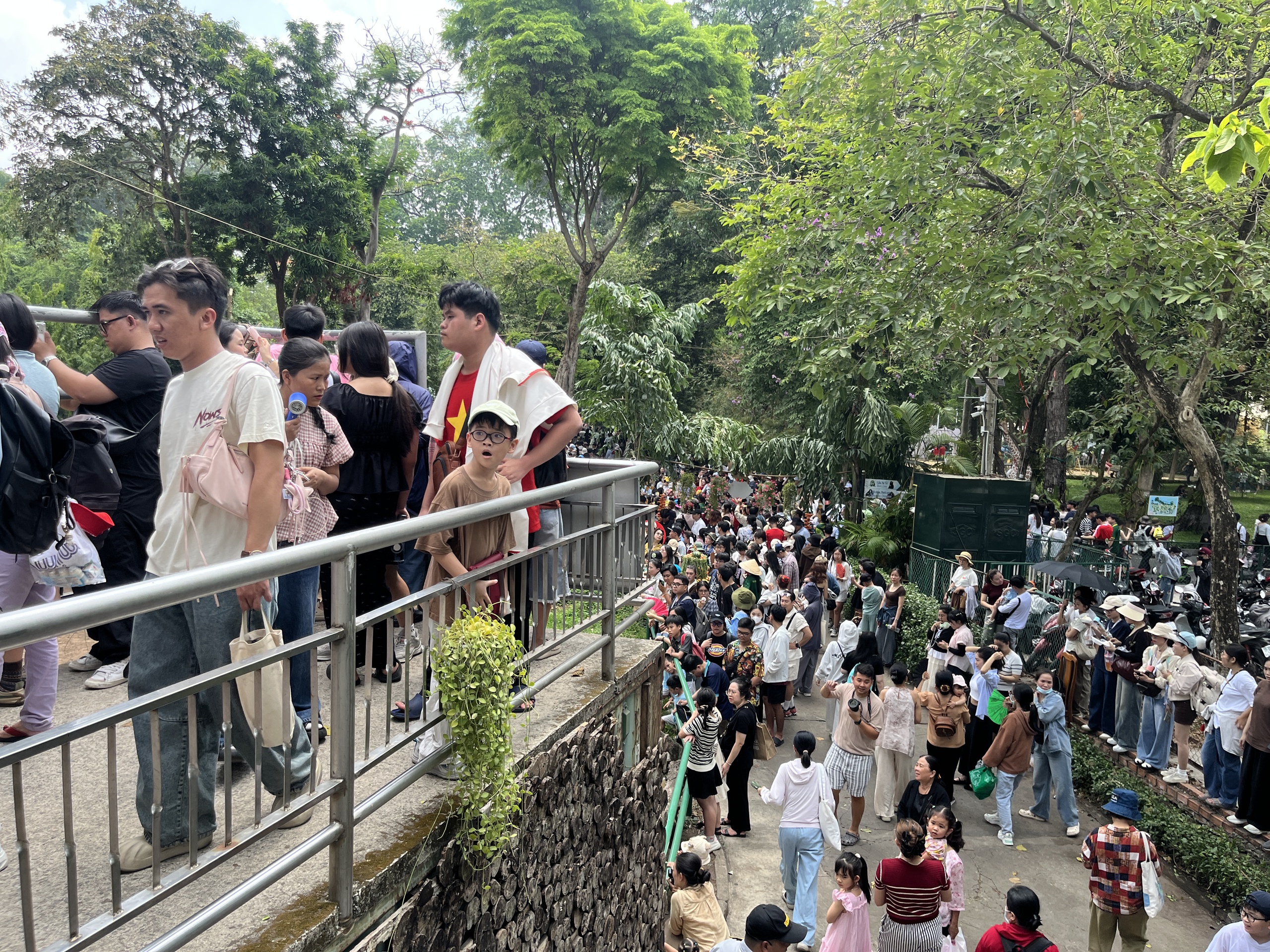 Xem hươu cao cổ &ldquo;l&agrave;m đ&aacute;m cưới&rdquo;: Đ&ocirc;ng k&iacute;n người tại Thảo Cầm Vi&ecirc;n S&agrave;i G&ograve;n - Ảnh 2.