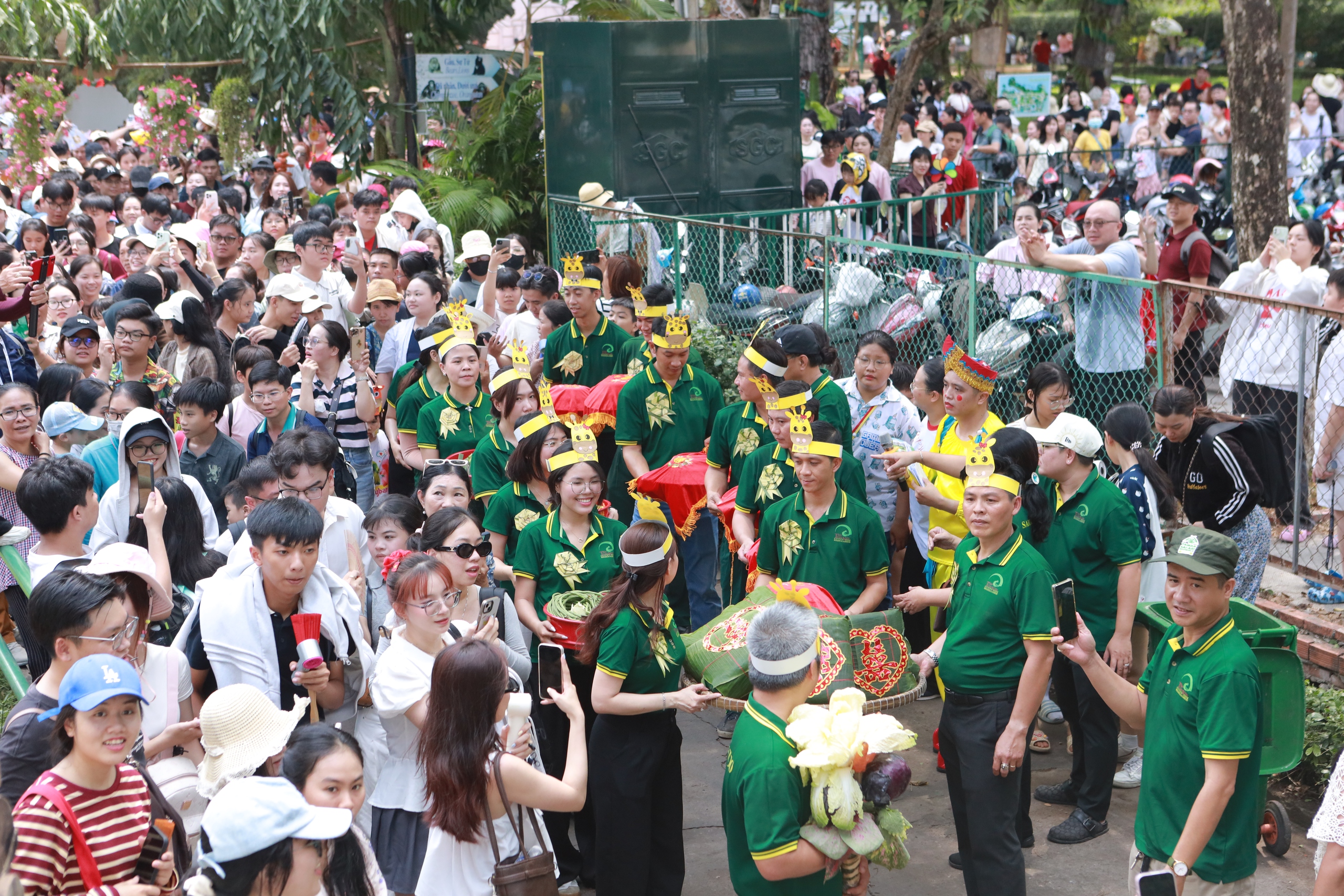 Đổ x&ocirc; đi xem &lsquo;lễ th&agrave;nh h&ocirc;n' hươu cao cổ ở Thảo Cầm Vi&ecirc;n S&agrave;i G&ograve;n - Ảnh 1.