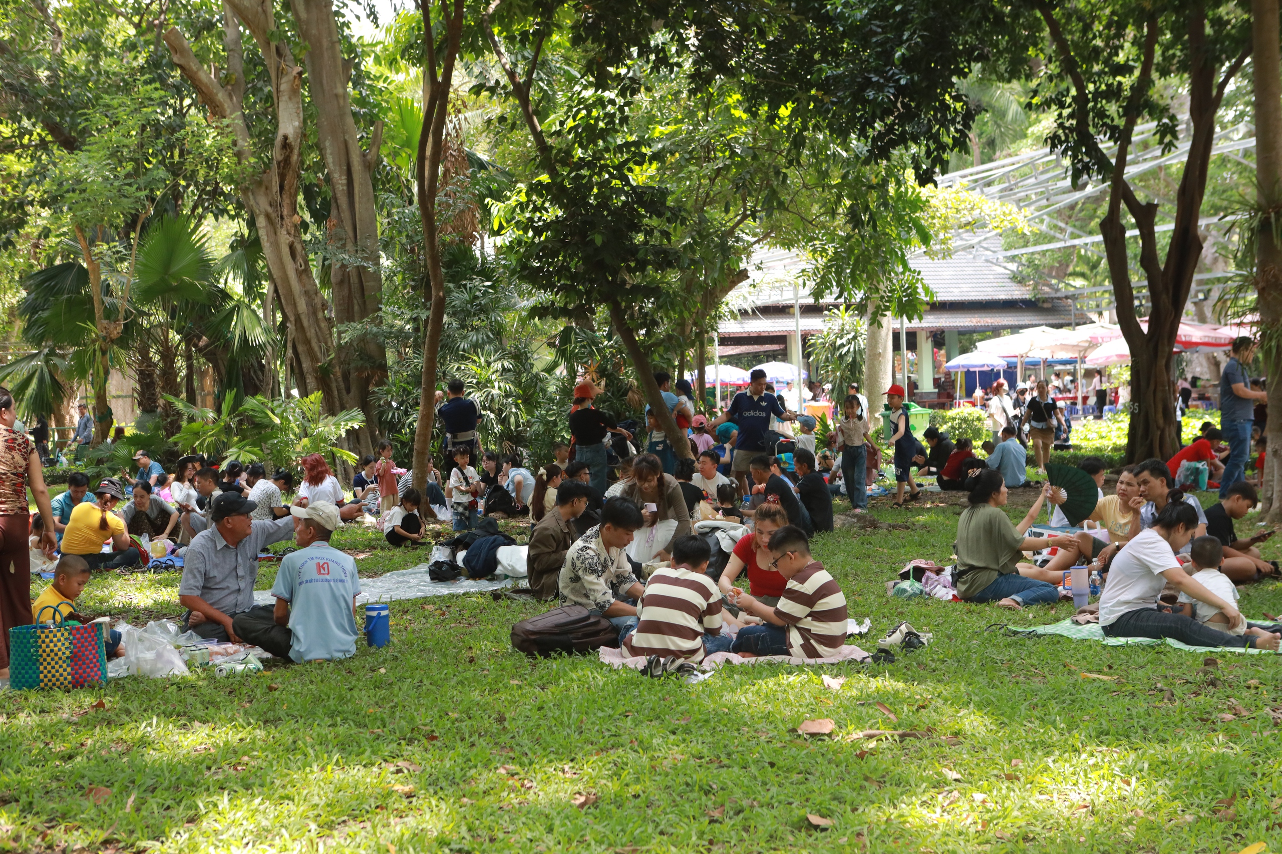 Đổ x&ocirc; đi xem &lsquo;lễ th&agrave;nh h&ocirc;n' hươu cao cổ ở Thảo Cầm Vi&ecirc;n S&agrave;i G&ograve;n - Ảnh 9.