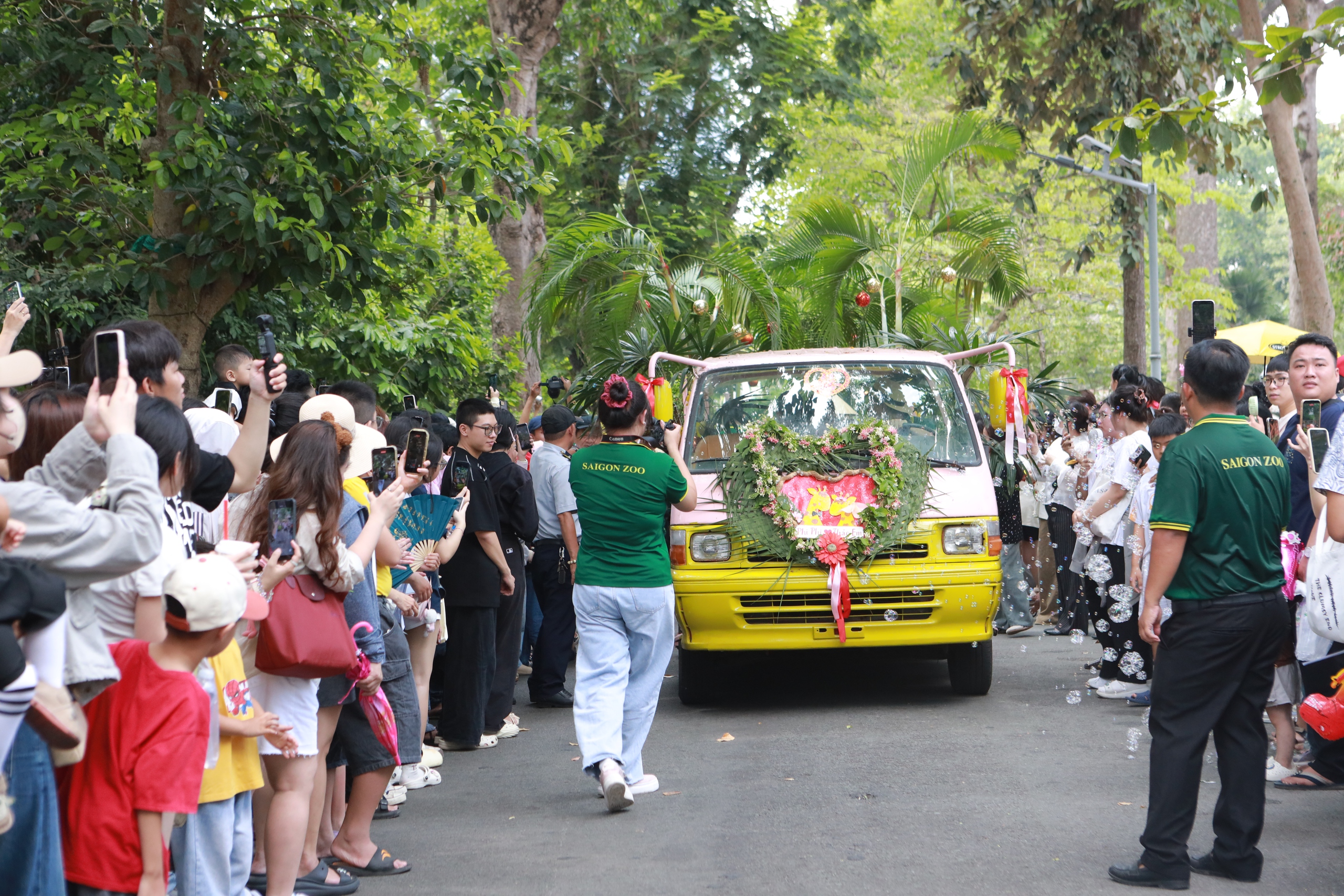 Đổ x&ocirc; đi xem &lsquo;lễ th&agrave;nh h&ocirc;n' hươu cao cổ ở Thảo Cầm Vi&ecirc;n S&agrave;i G&ograve;n - Ảnh 3.