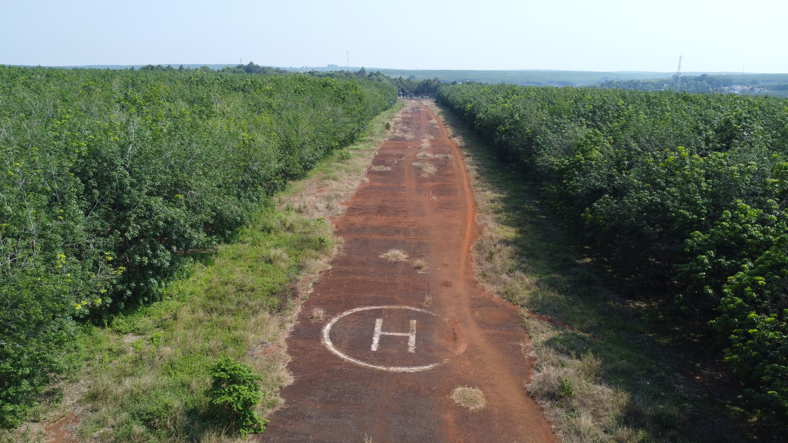 Thành lập 10 phường mới ở Đồng Nai: Lộc Ninh đô thị gần biên giới- Ảnh 7. Thành lập 10 phường mới ở Đồng Nai: Lộc Ninh đô thị gần biên giới- Ảnh 7.