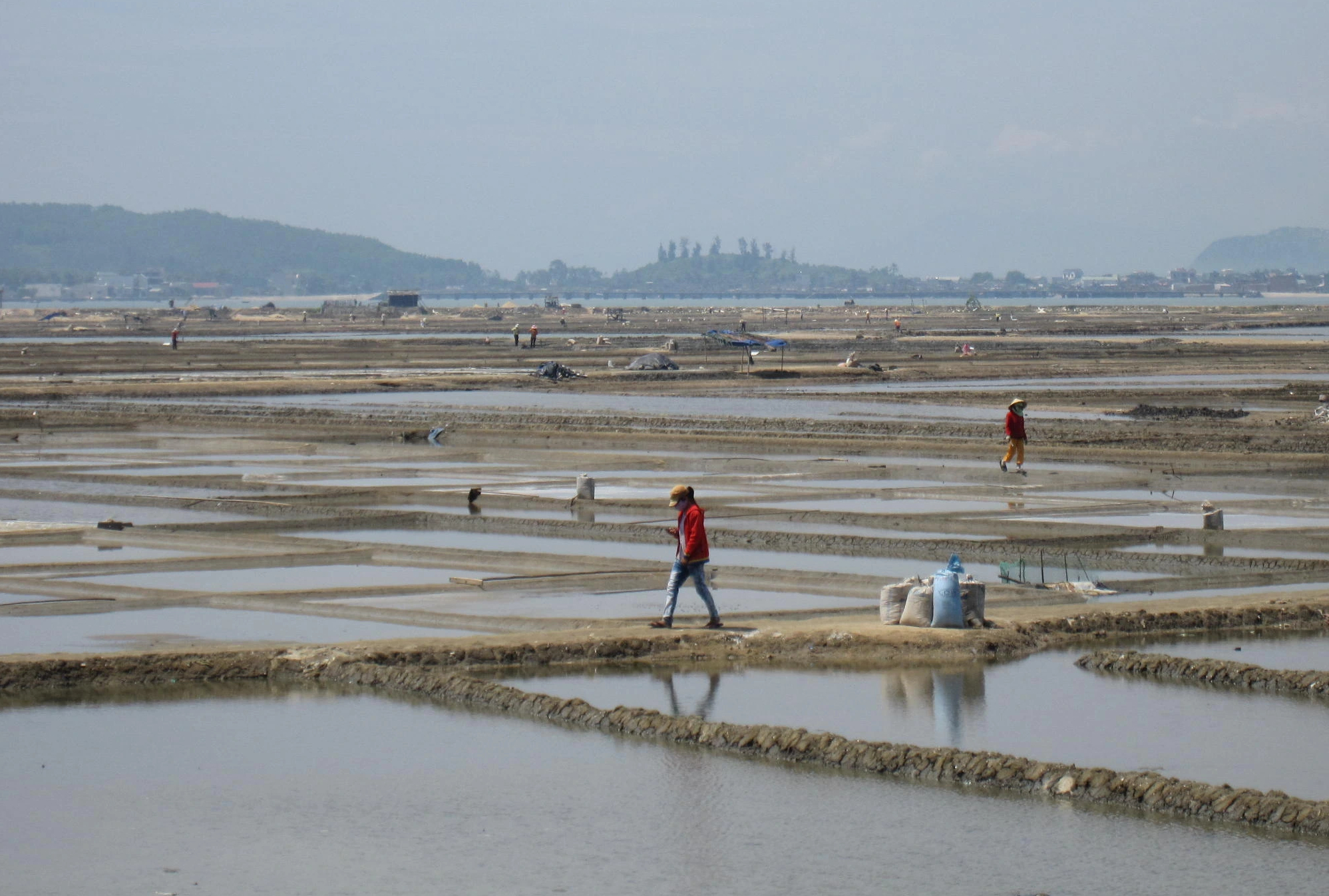Giá muối Sa Huỳnh tăng cao nhưng diêm dân lại không còn muối để bán - Ảnh 1. Giá muối Sa Huỳnh tăng cao nhưng diêm dân lại không còn muối để bán - Ảnh 1.